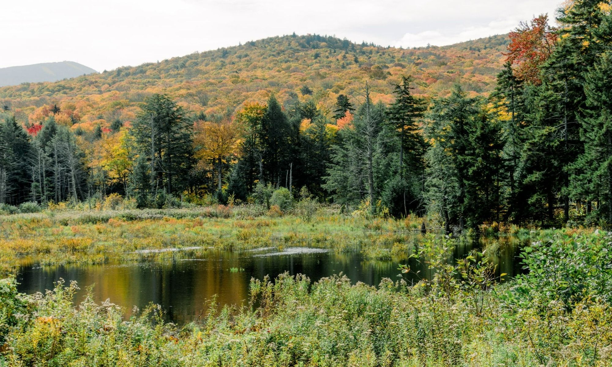 Book Your Fishing Charter in Jamaica, VT