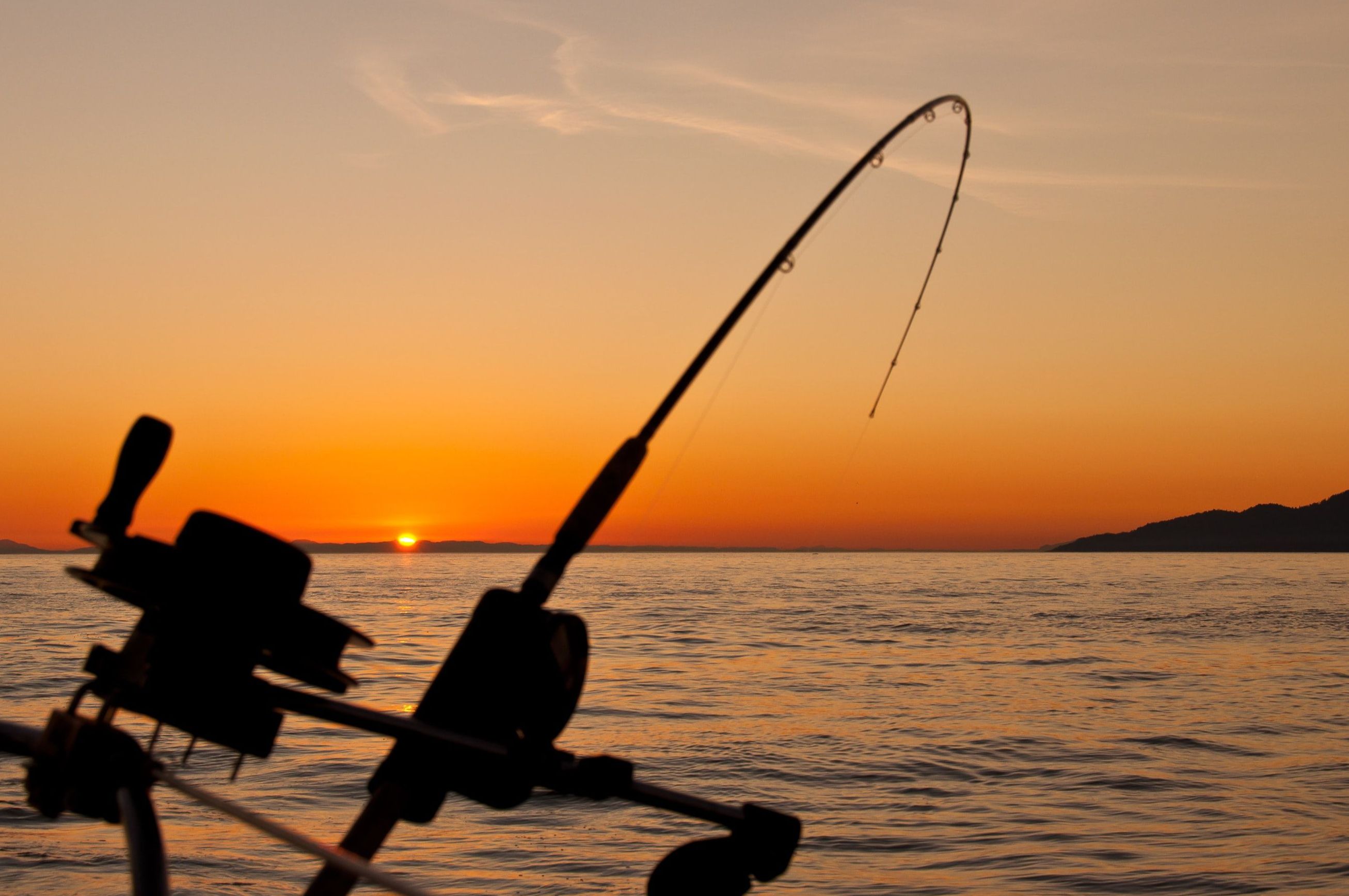How to Fish a Jighead with Live Bait: Techniques, Rigs, and Tips