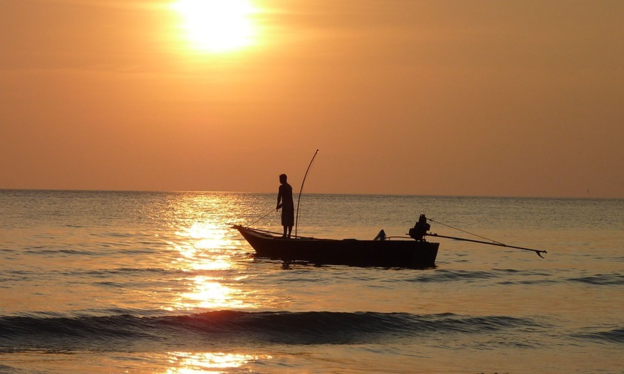 Everything You Need to Know About Jigworm Fishing