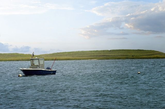 Katama Bay, Martha's Vineyard