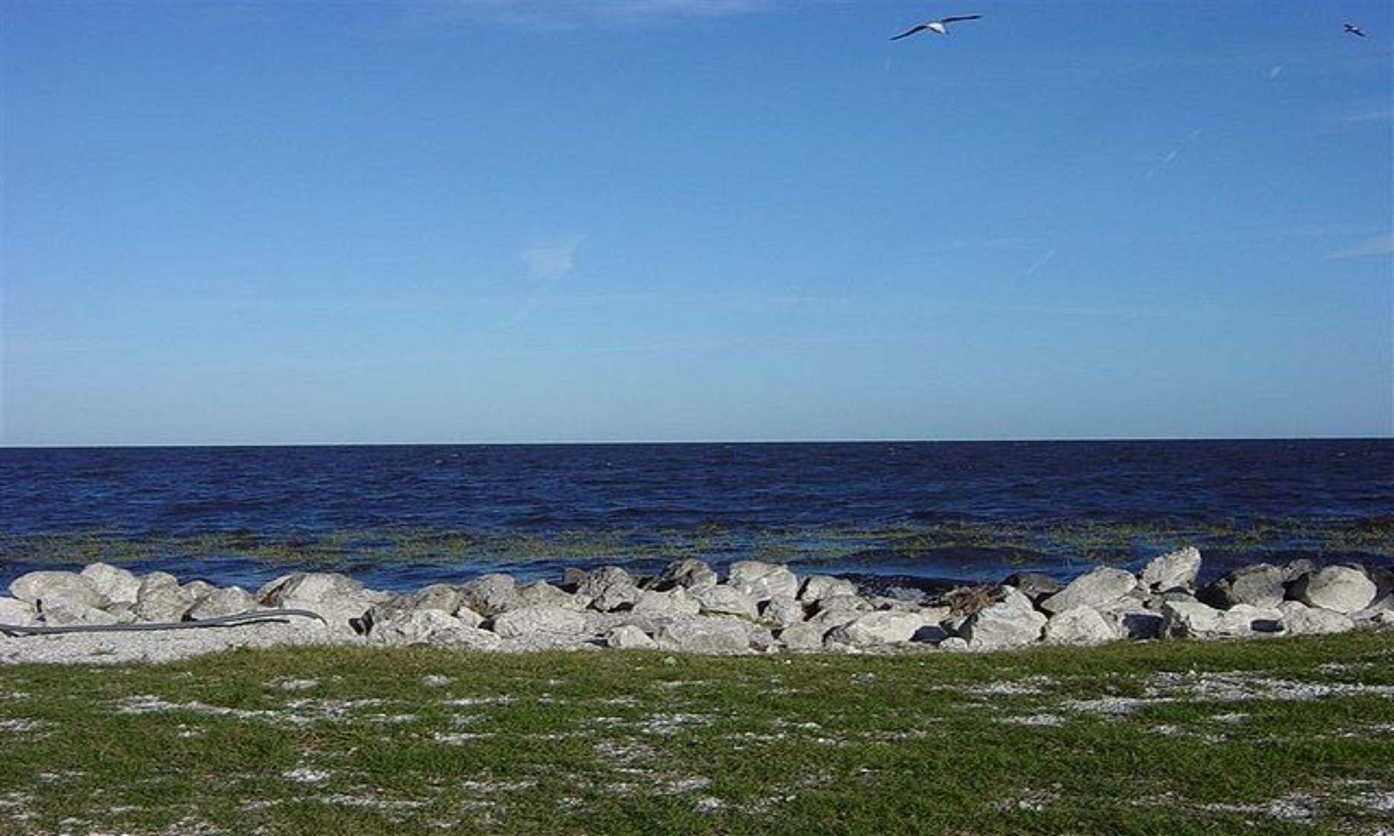 Top 10 Fishing Tips When Fishing in Lake Okeechobee