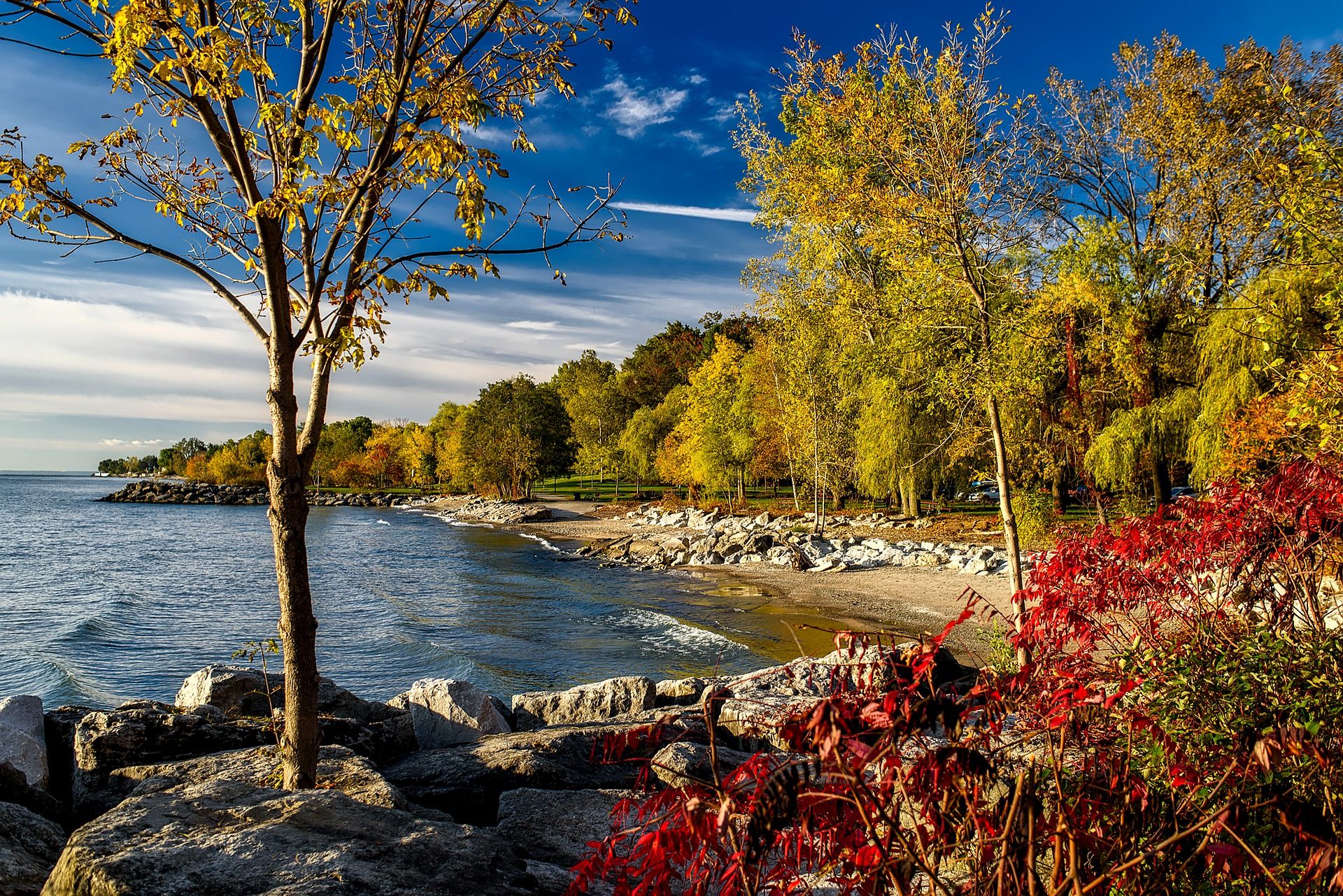 Lake Ontario Fishing: Small Waters, Big Catches