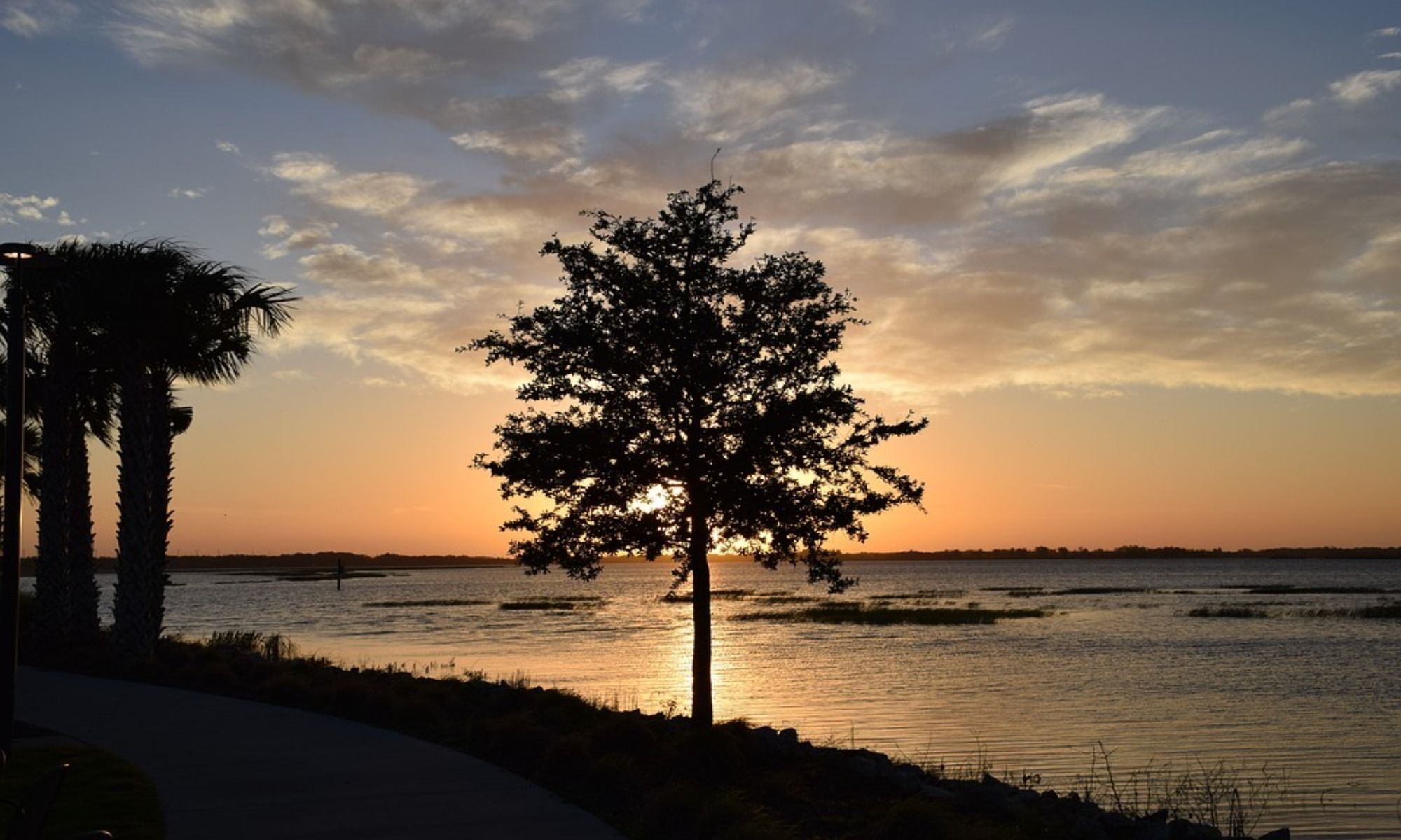 Book Your Fishing Charter in Kissimmee, FL