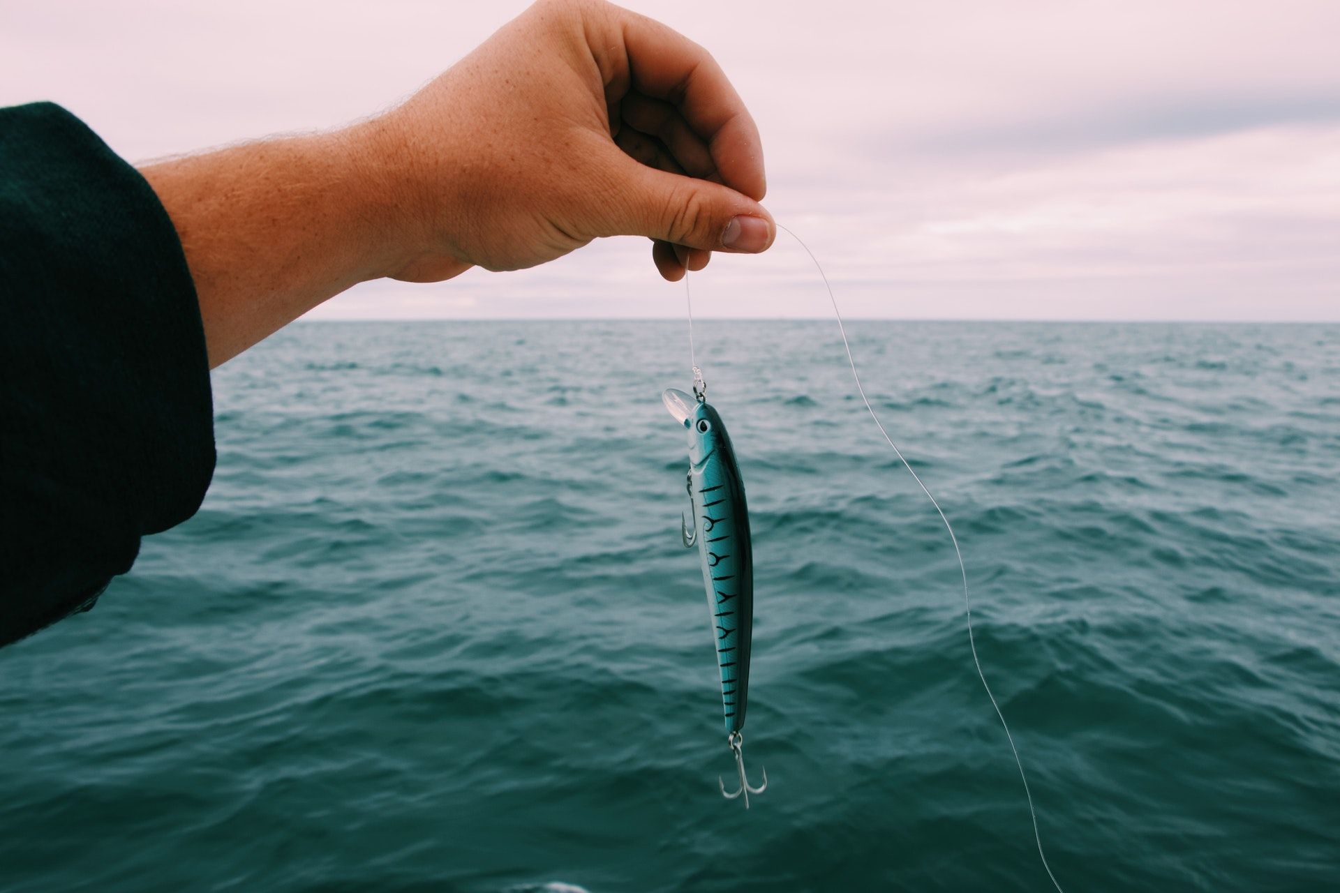 Learn How to Fish