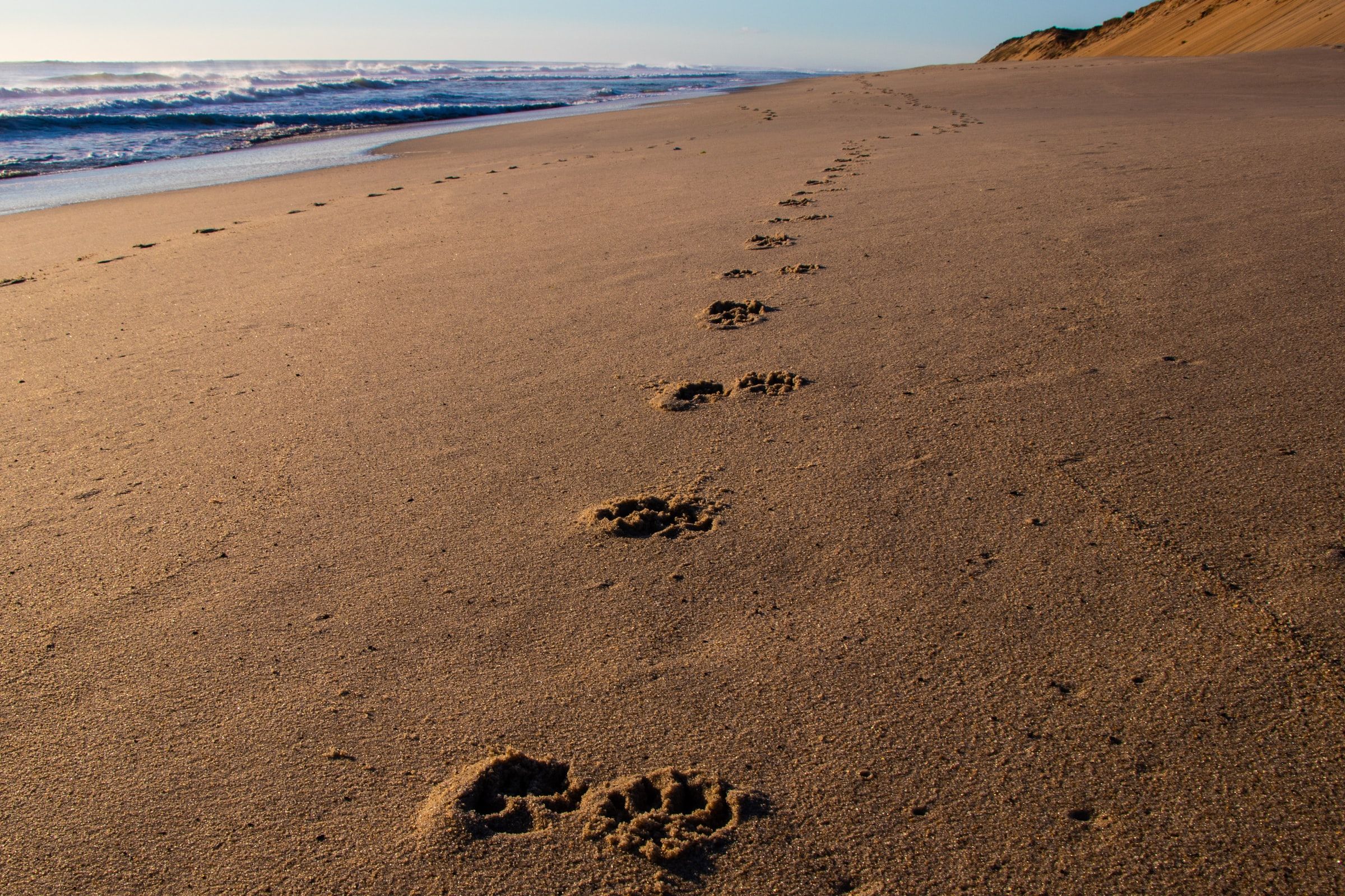 Wellfleet, MA Fishing: Experience Only the Best