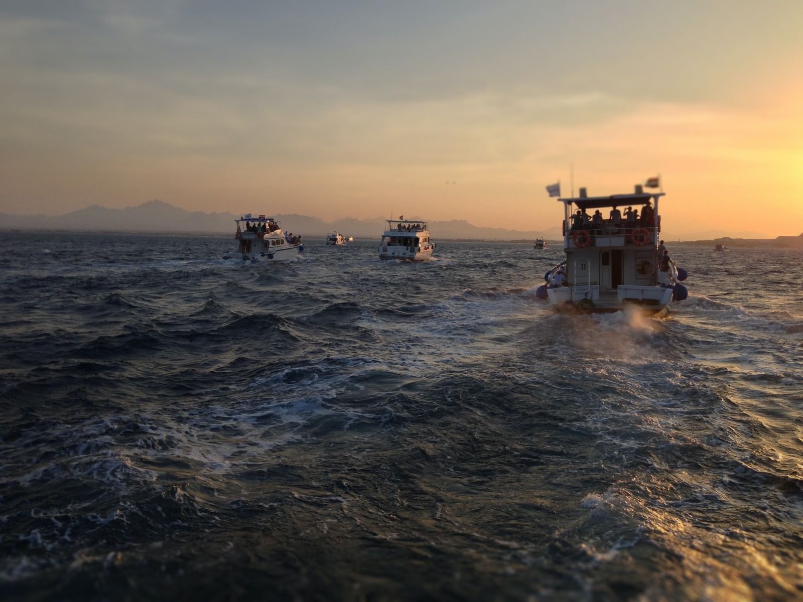 Fishing License: What Happens If You Don’t Have It and Why It’s Important