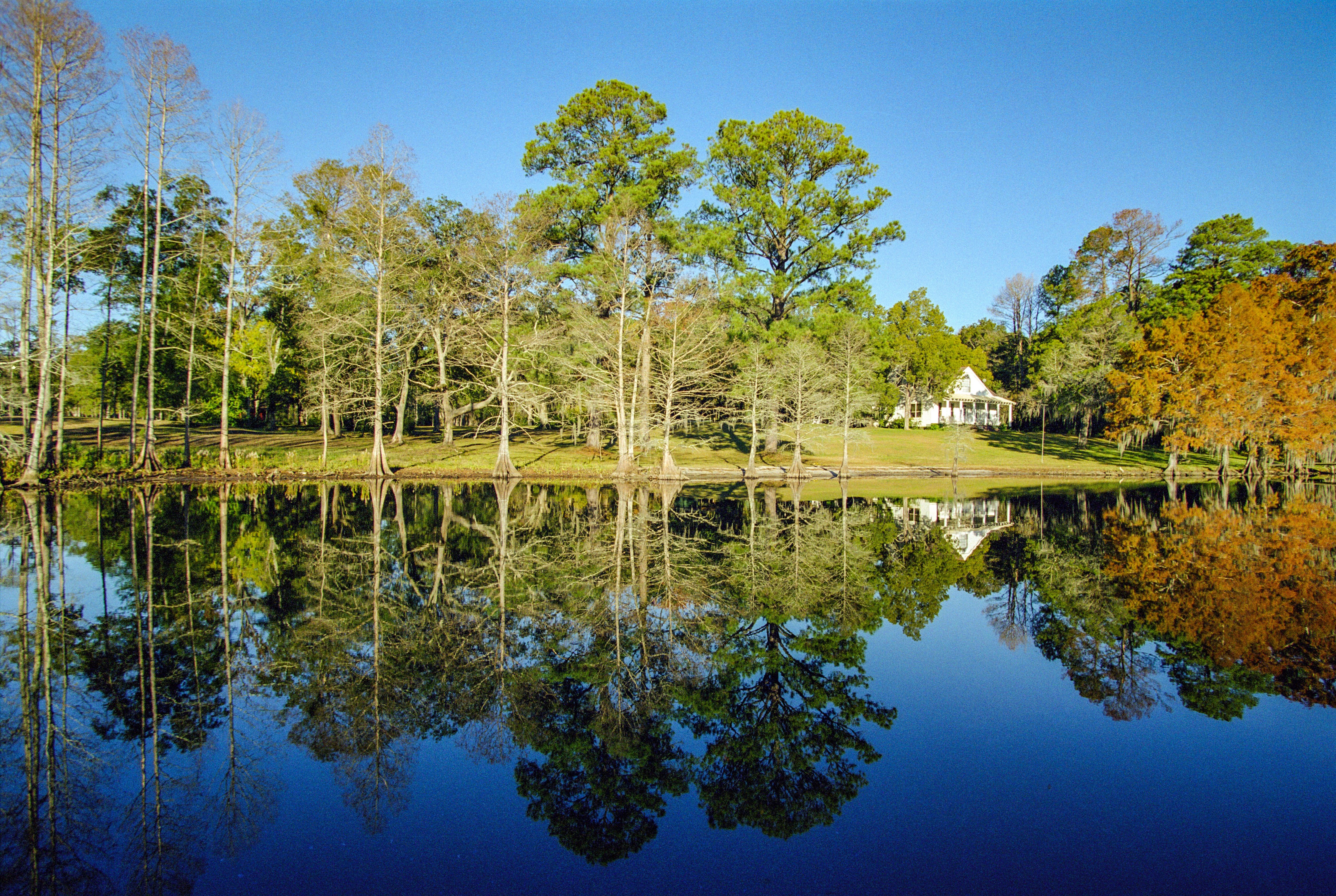 Cut Off, LA Fishing: Angling in the Bayous