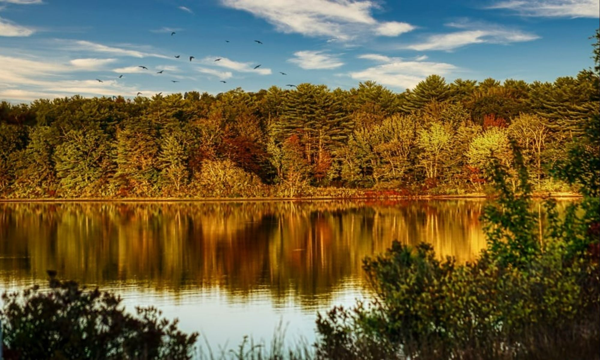 Book Your Fishing Charter in Chester, MA