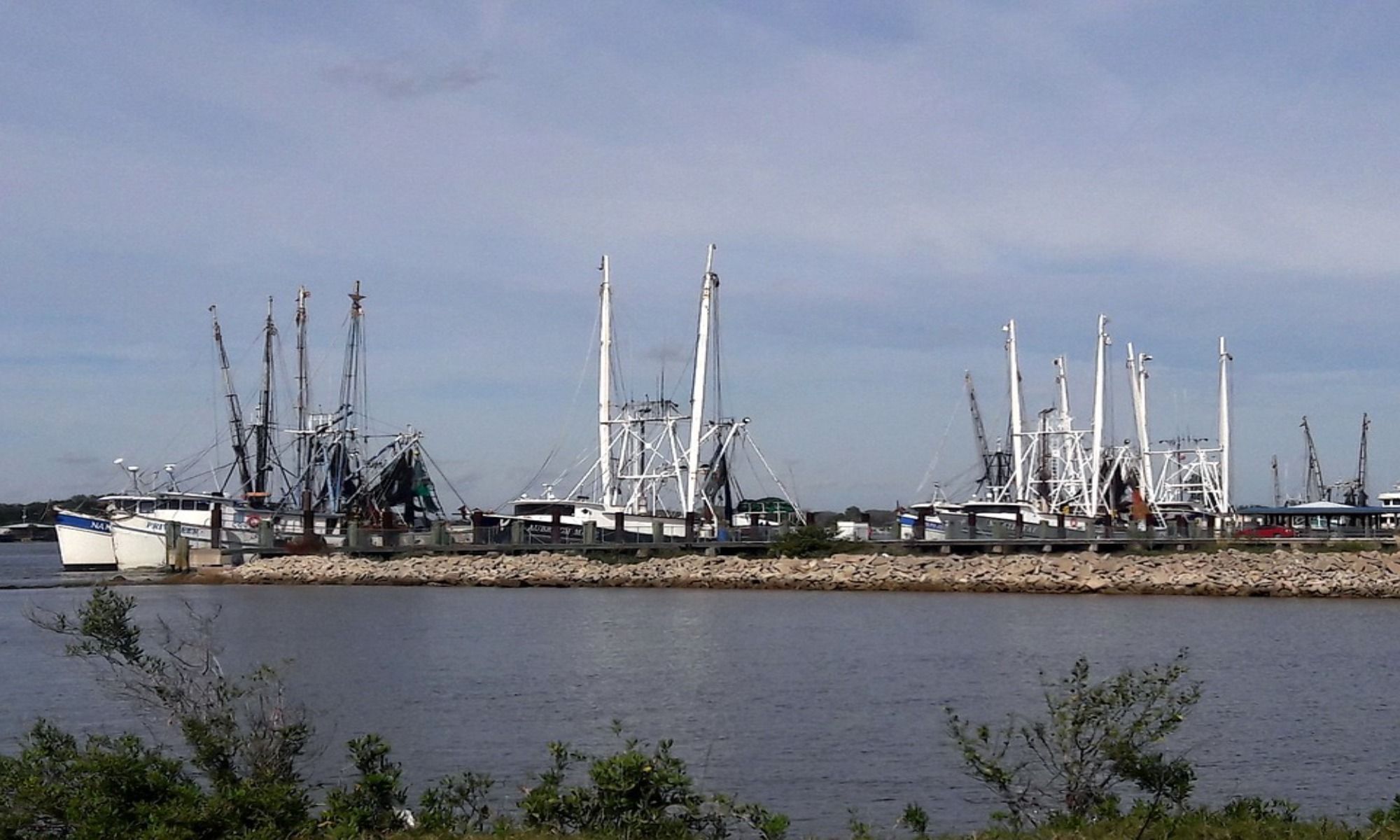Book Your Fishing Charter in Mayport, FL