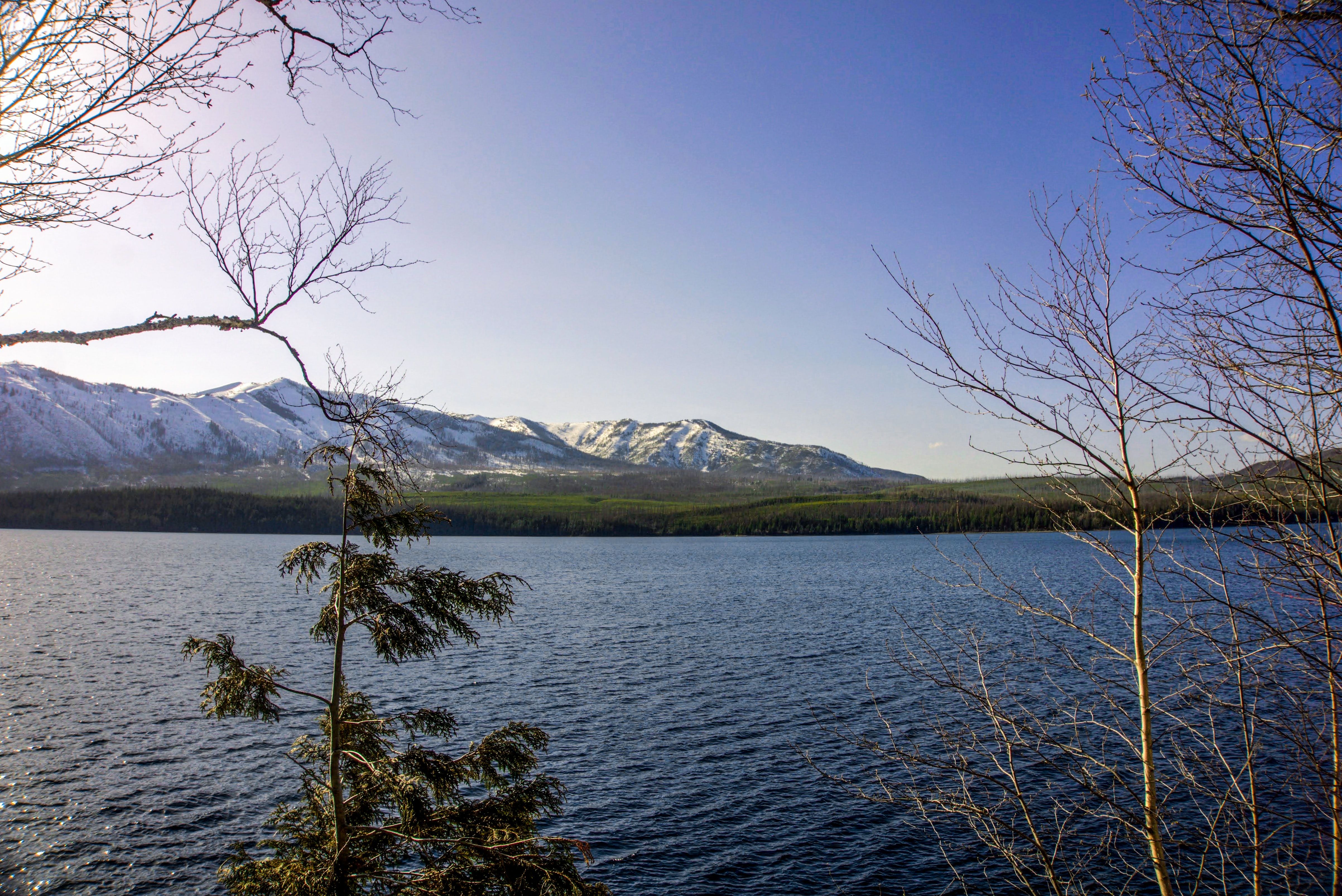 Billings MT, Fishing: Experience Fishing in the Magic City 