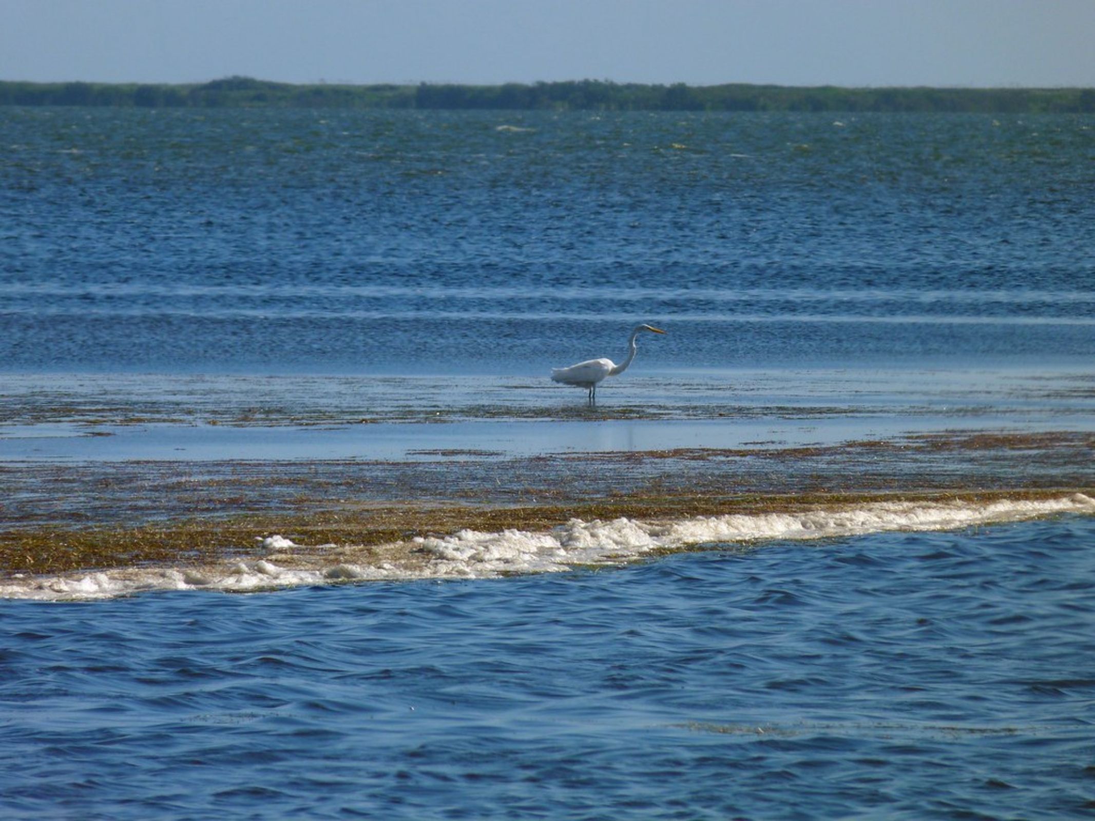 Edgewater, FL Fishing: Year-Round Tranquil Fishing in Central Florida