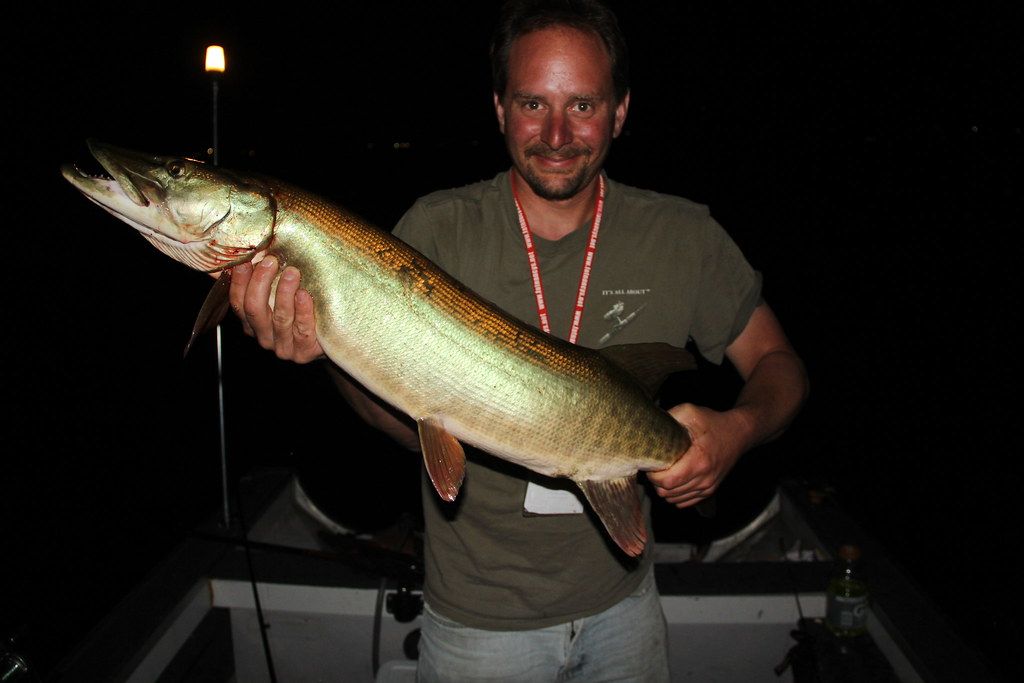 "Muskellunge May 31, 2013" by Neil DeMaster is licensed under CC BY-ND 2.0