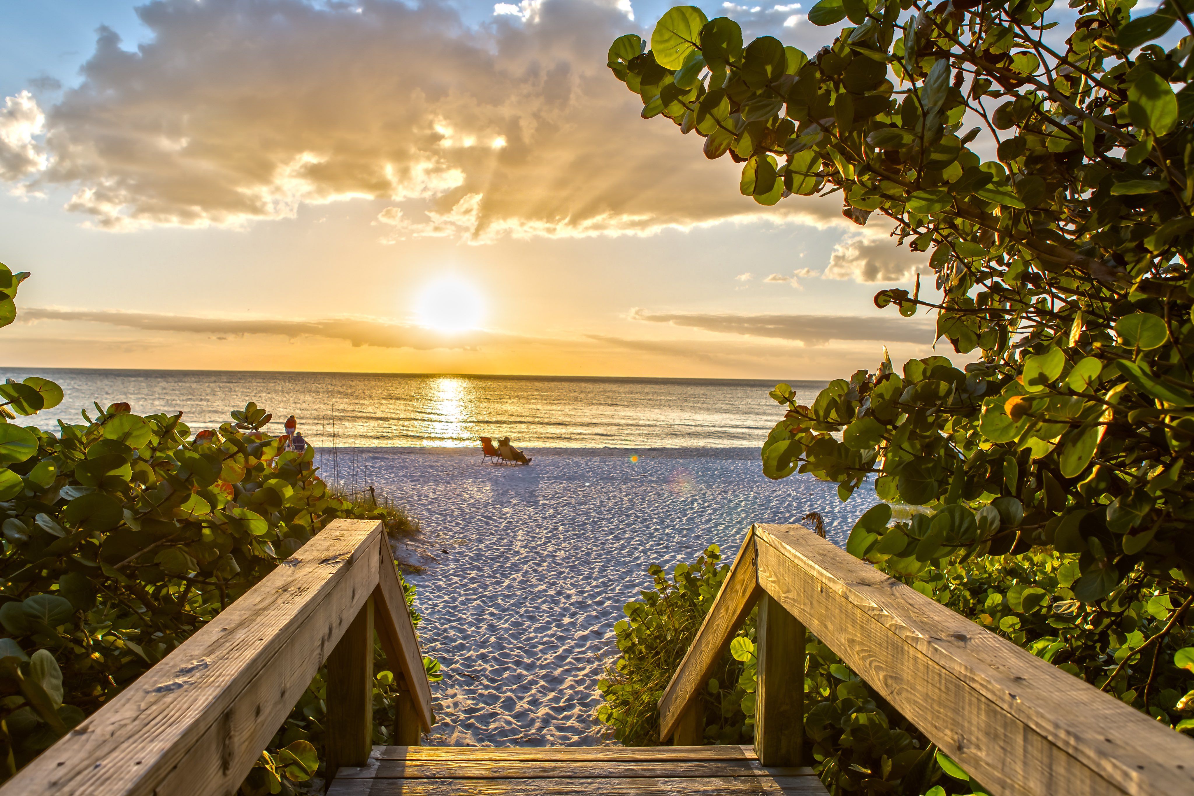 Book Your Fishing Charter in Naples, Florida