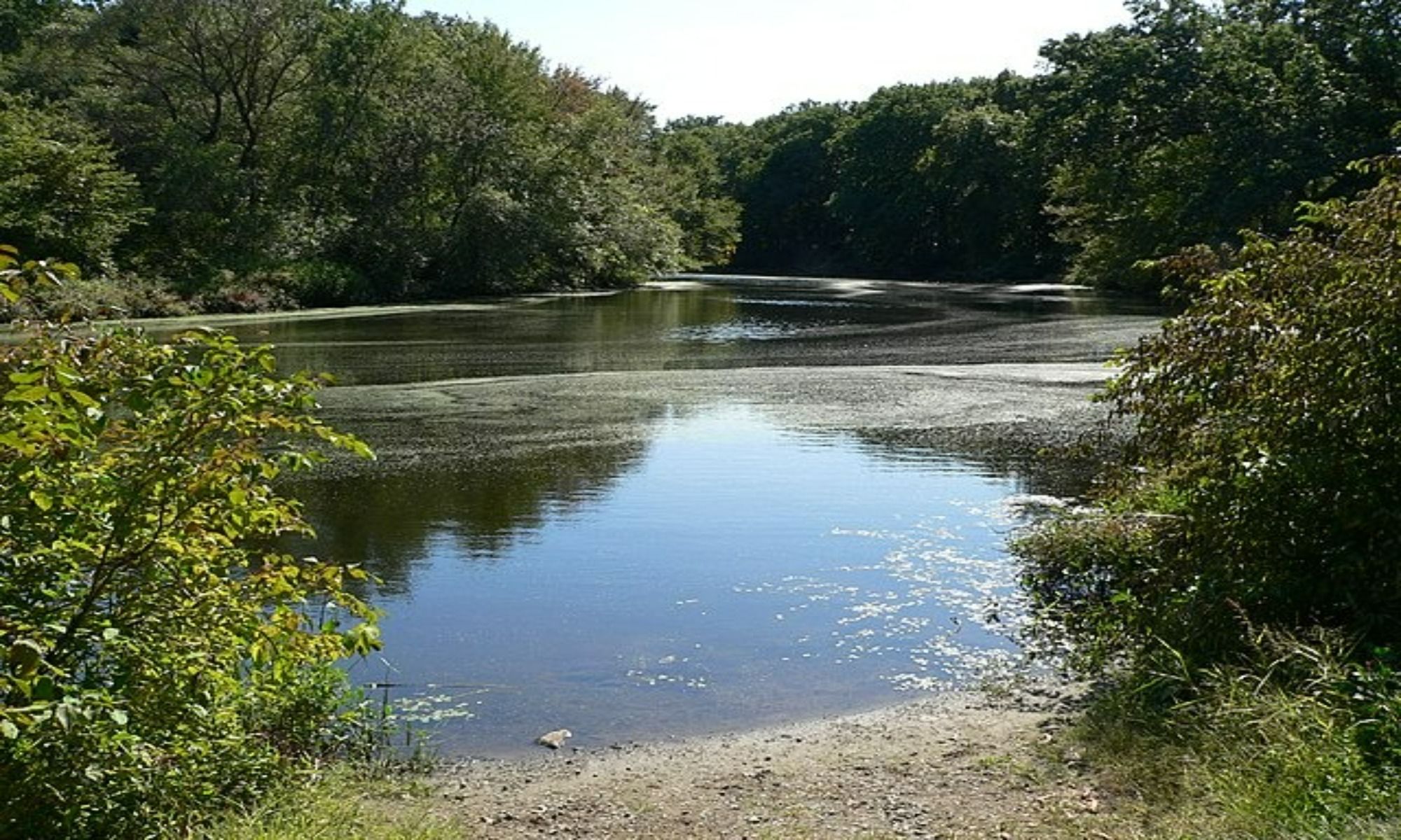 Newton, MA Fishing: The Garden City of Massachusetts