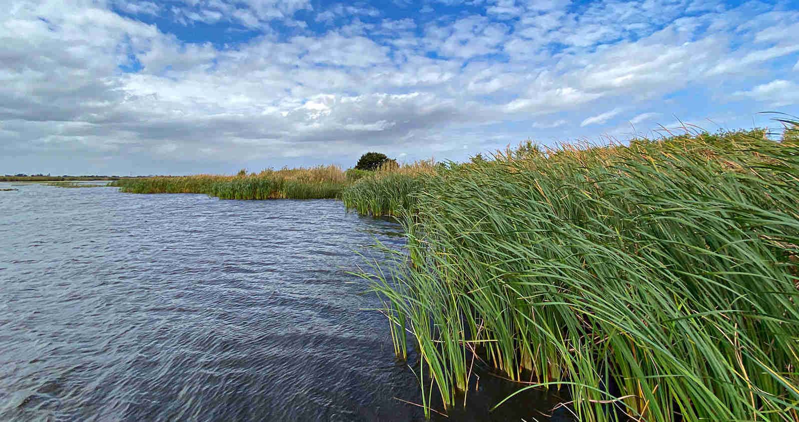 Lake Okeechobee