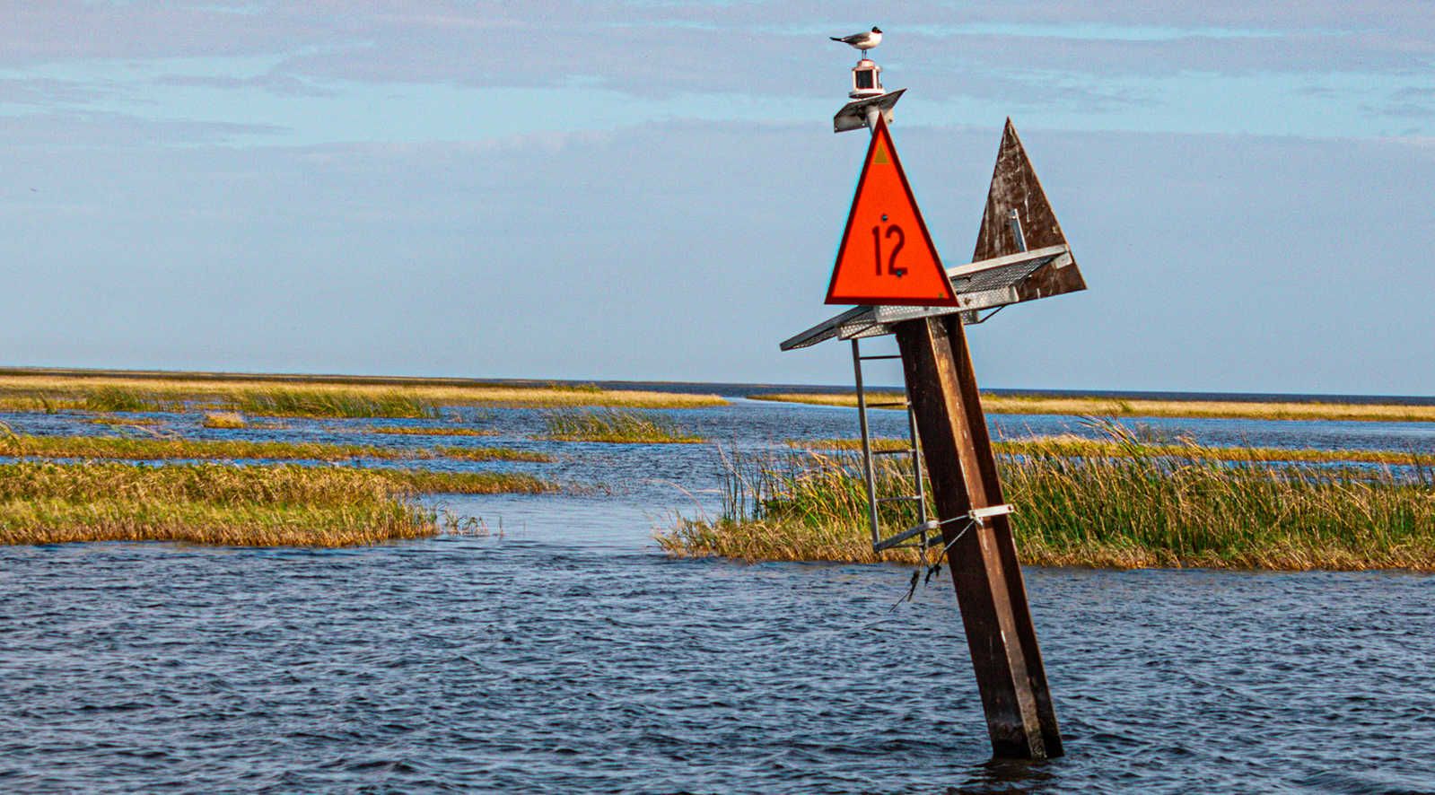 Lake Okeechobee Fishing, Florida's Best Bass Waters