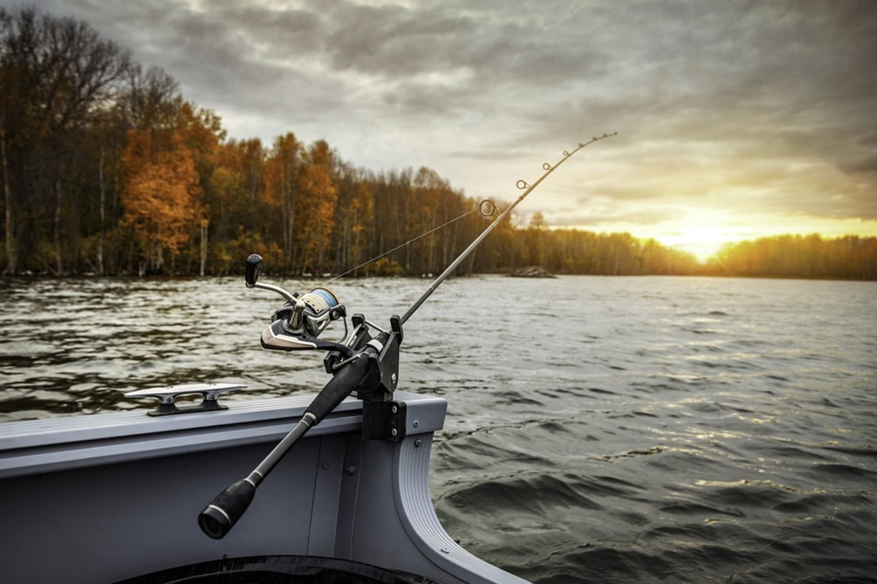 Techniques for Catching Peacock Bass