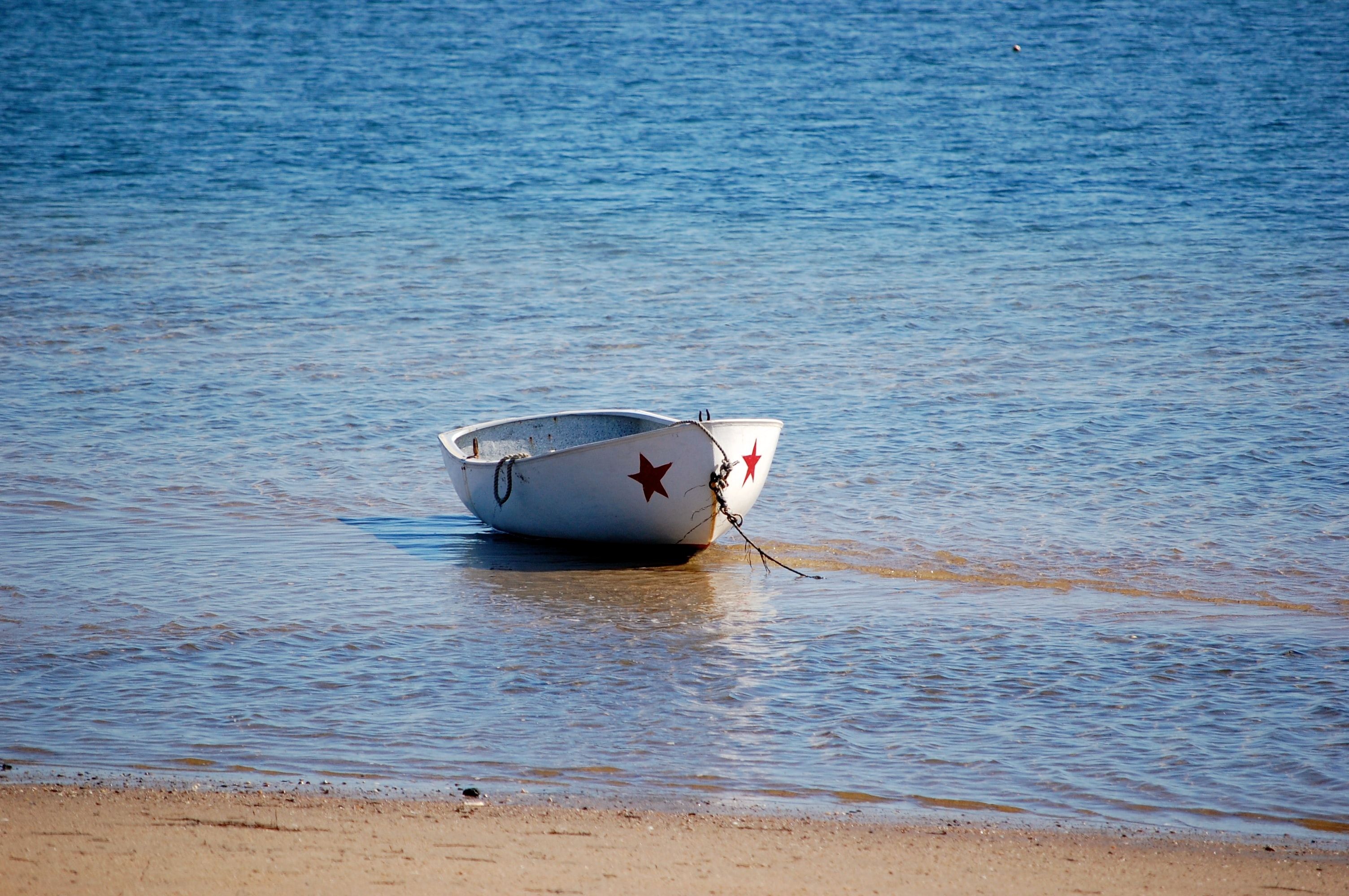 Book Your Fishing Charter in Provincetown, MA
