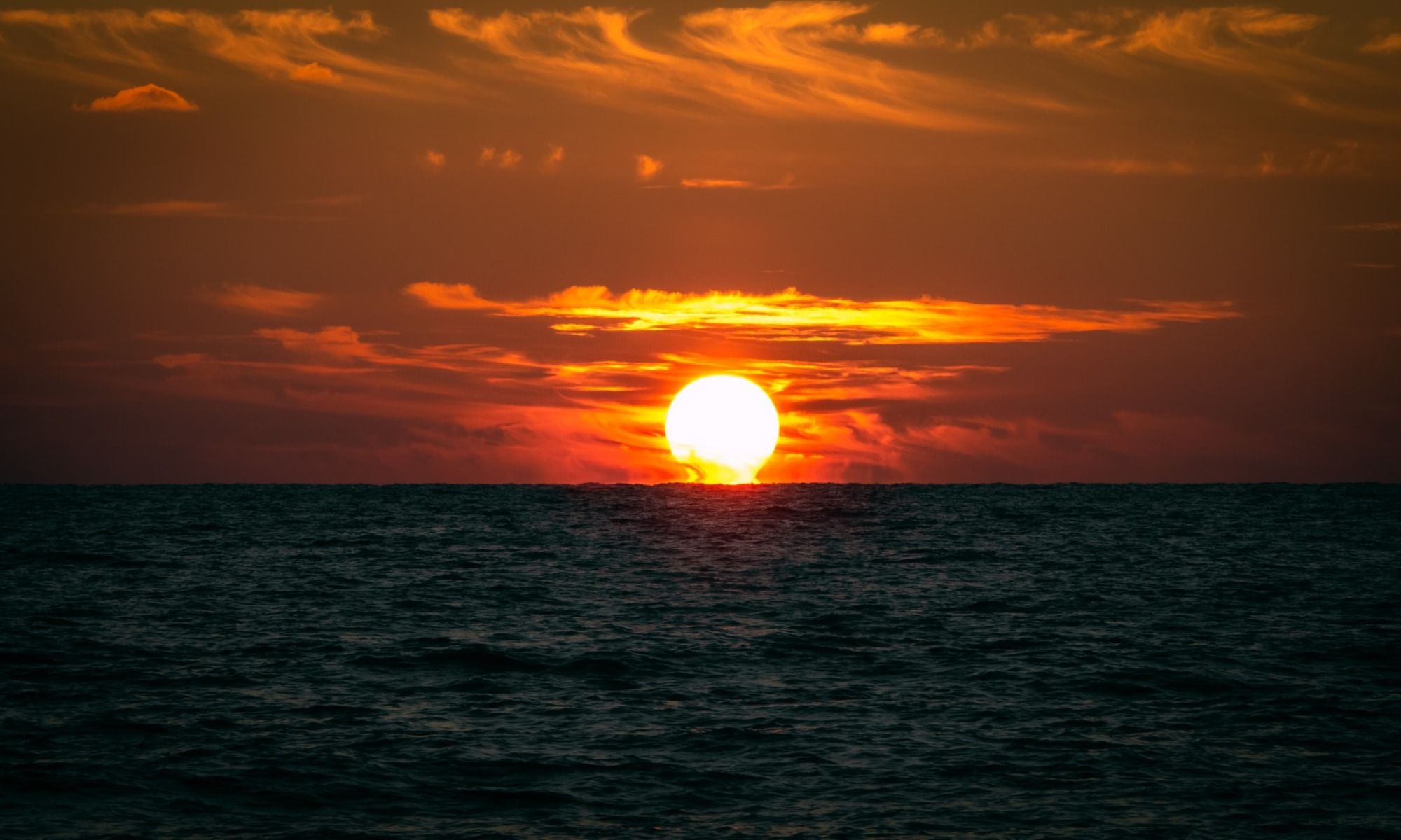 Book Your Fishing Charter in Punta Gorda, FL