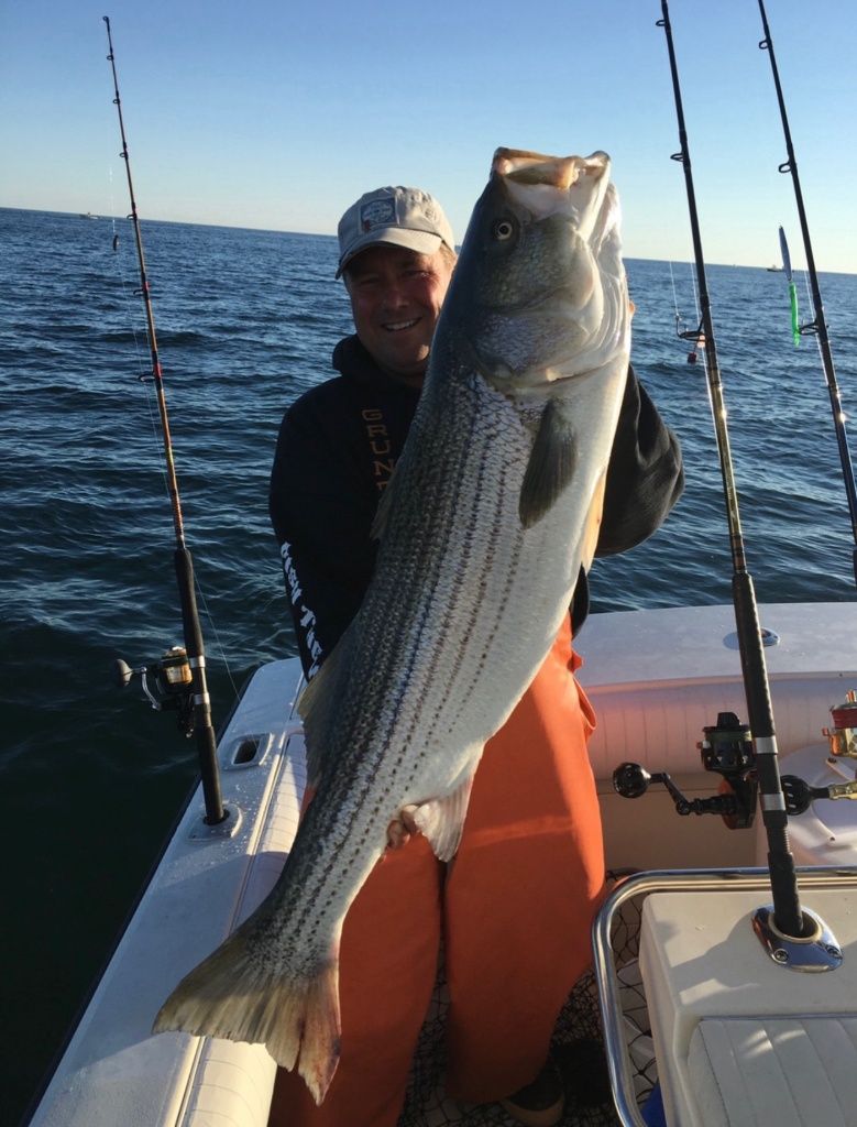 Fishing with Live Bait in the Cape