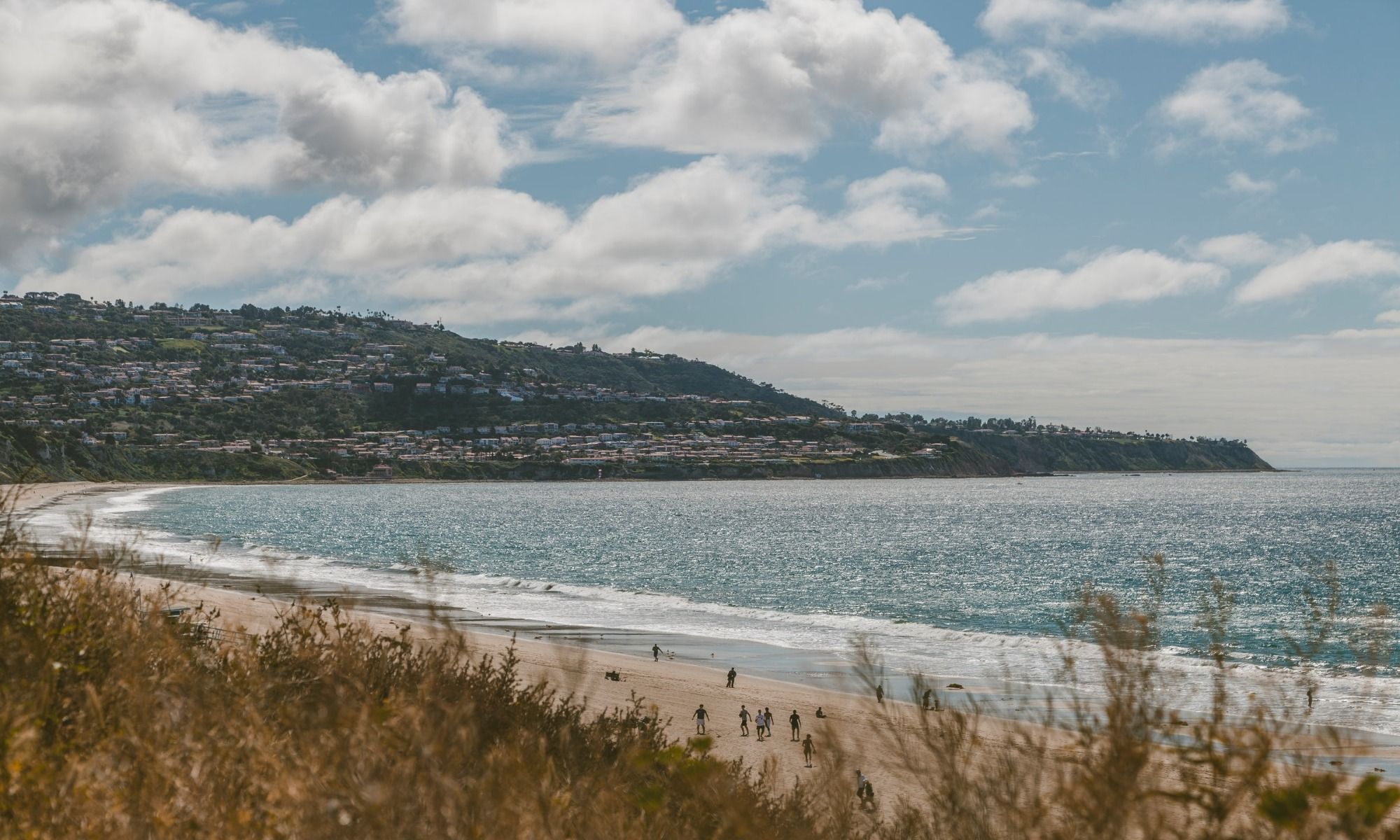 Redondo Beach, CA Fishing: Gem-Like Fishing on SoCal’s South Bay Area