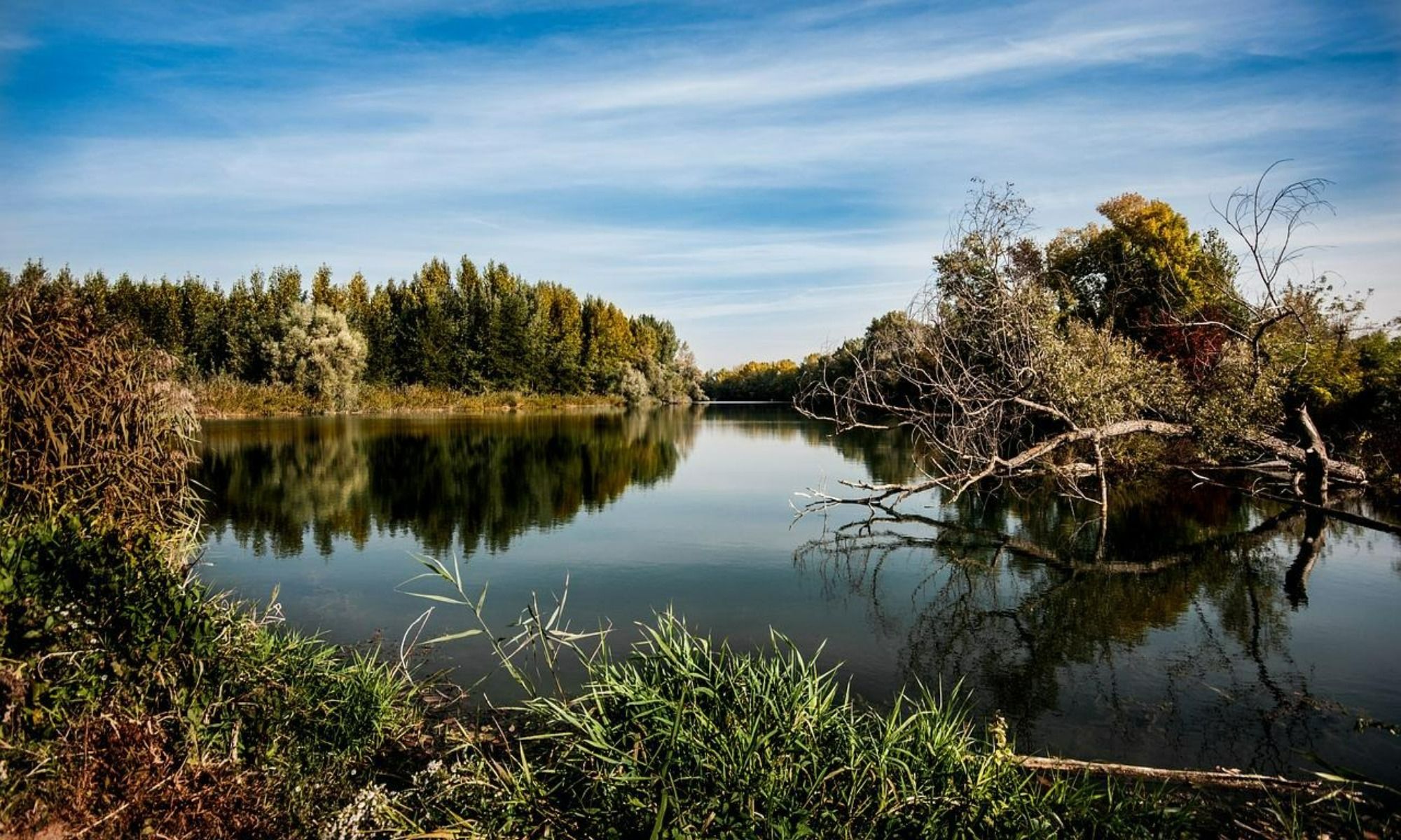 Rocky Mount, NC Fishing: Hidden Fishing Gem in North Carolina’s Northeast Region