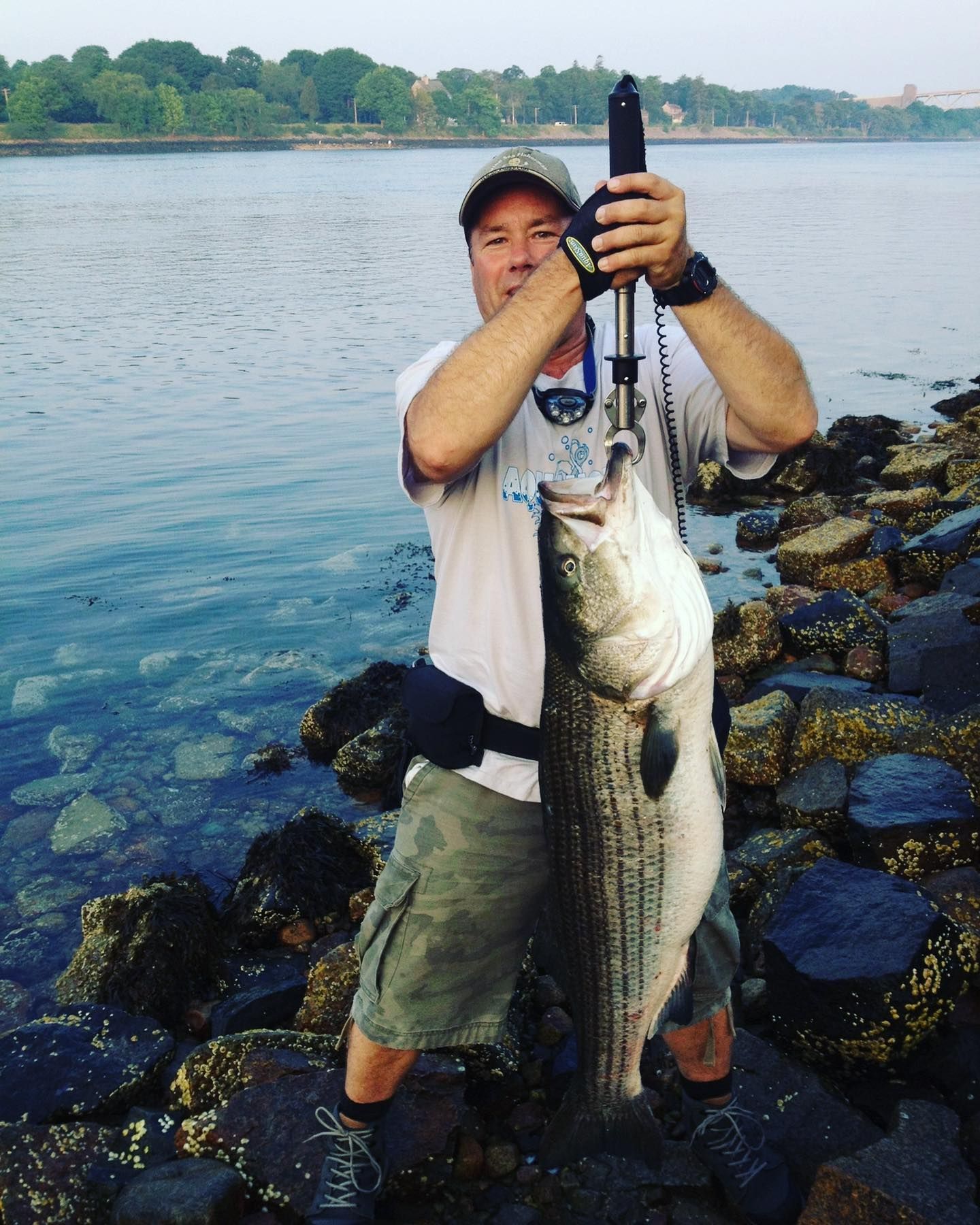 Why Cape Cod is a Fishing Destination