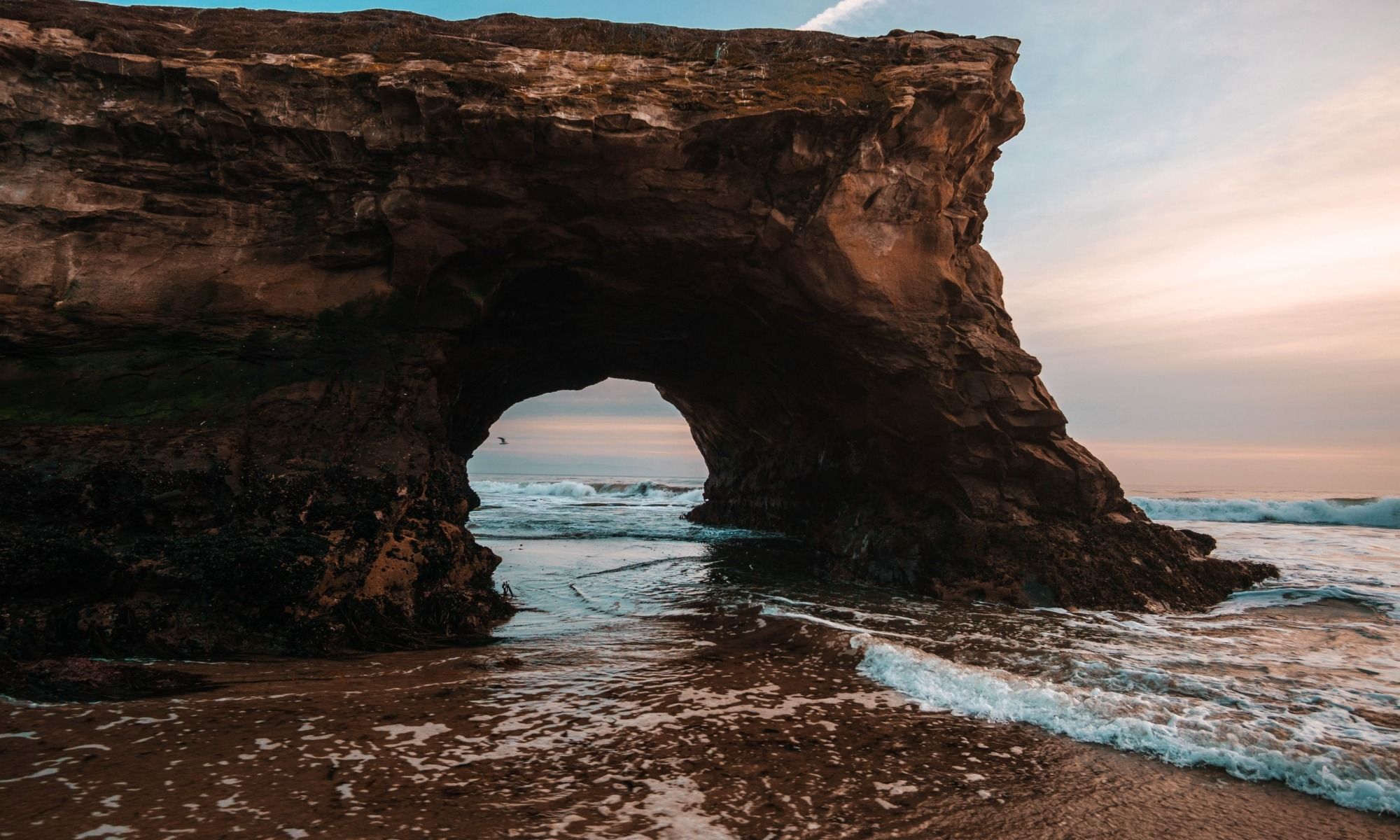 Book Your Fishing Charter in Santa Cruz, CA