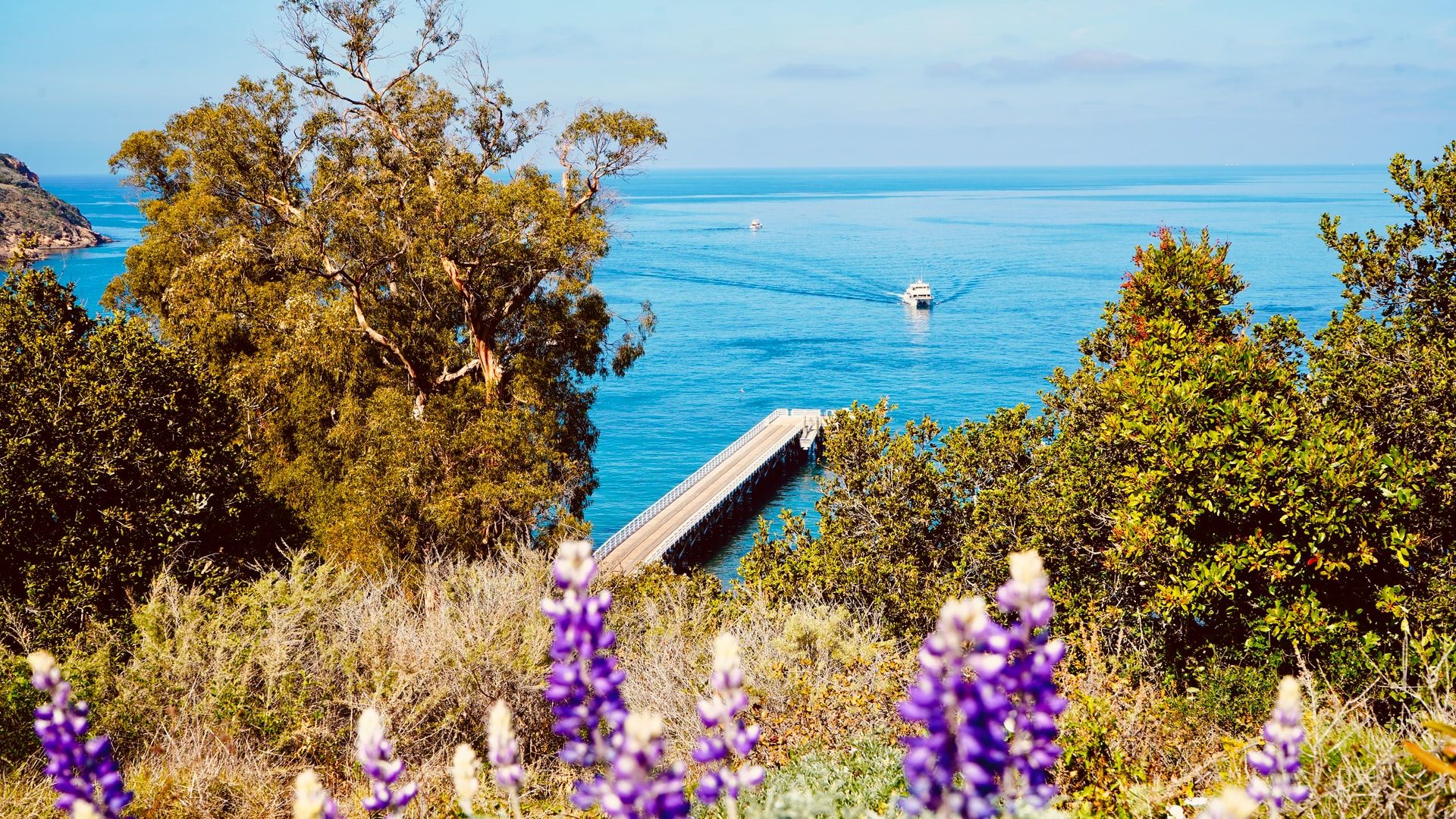 Santa Cruz, CA Fishing: Angling Along the Quintessential Beach Town 