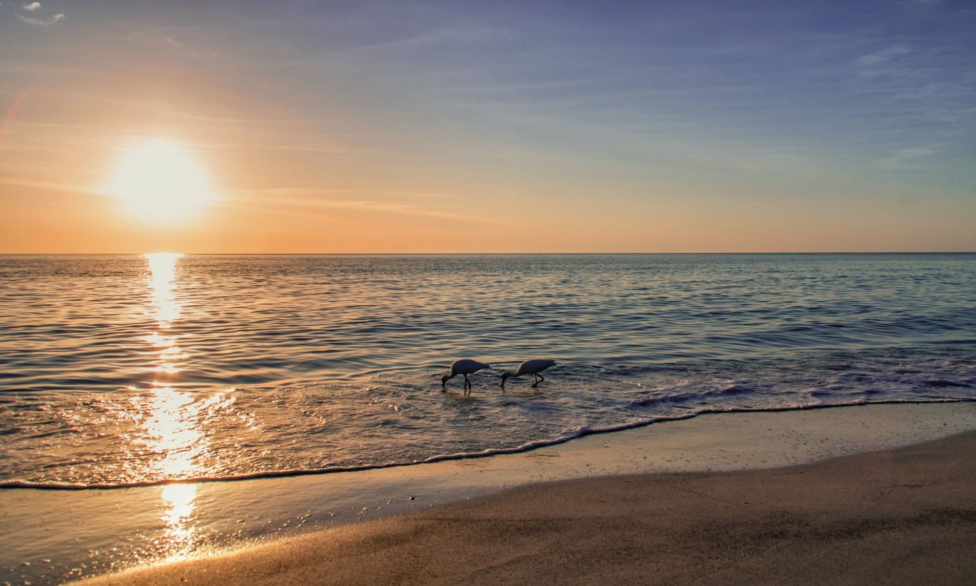 Book Your Fishing Charter in Sarasota, FL