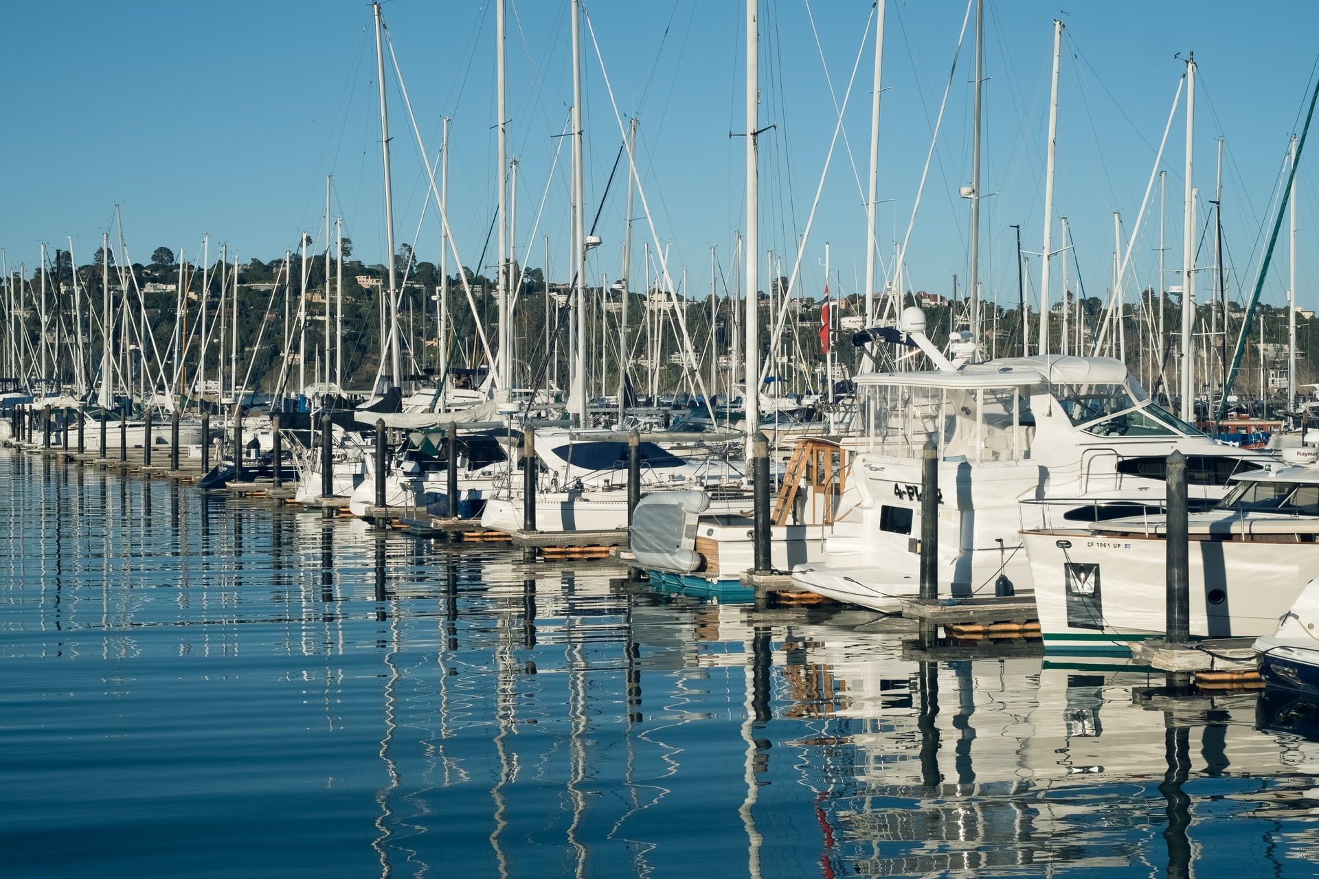 Sausalito Yacht Harbor