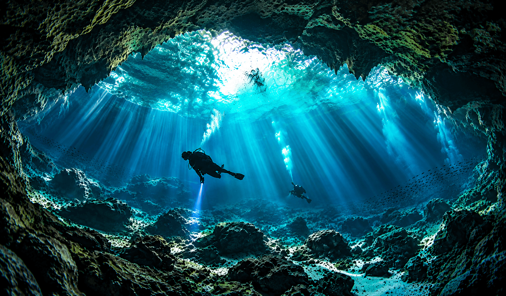 Inshore Diving vs. Scuba Diving in Florida: Two Ways to Explore the Same Water 