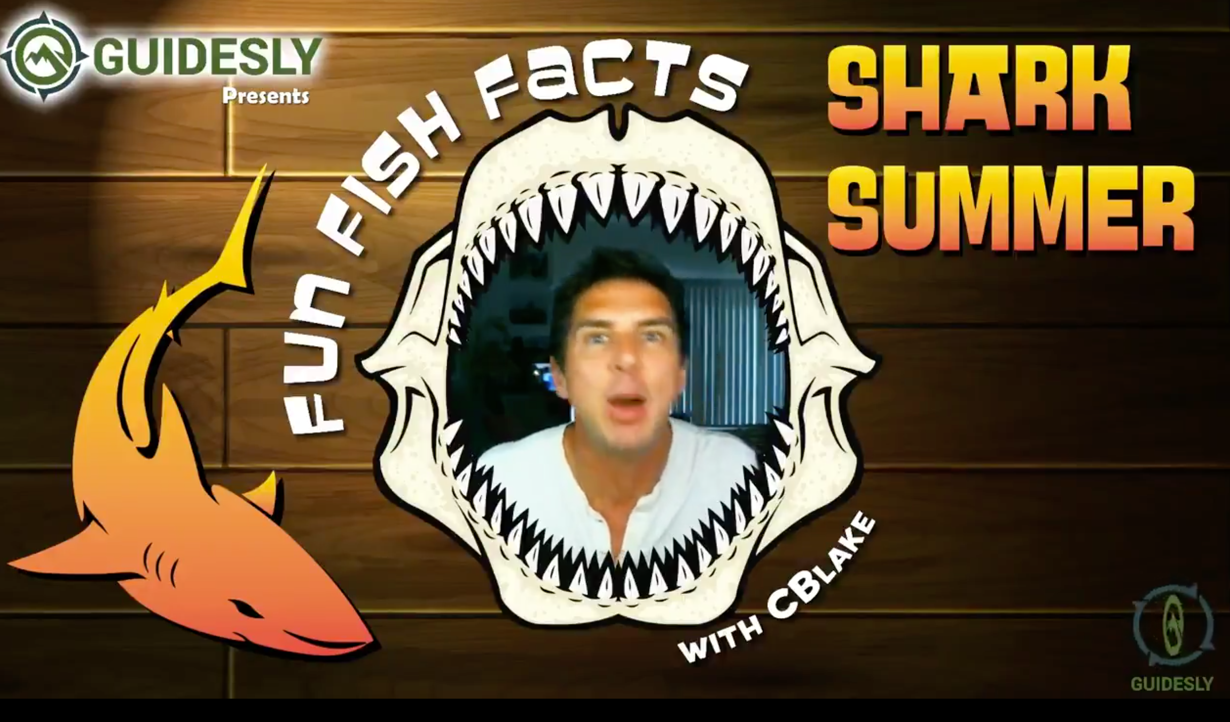 Shark Summer_Fun Fish Facts_Guidesly