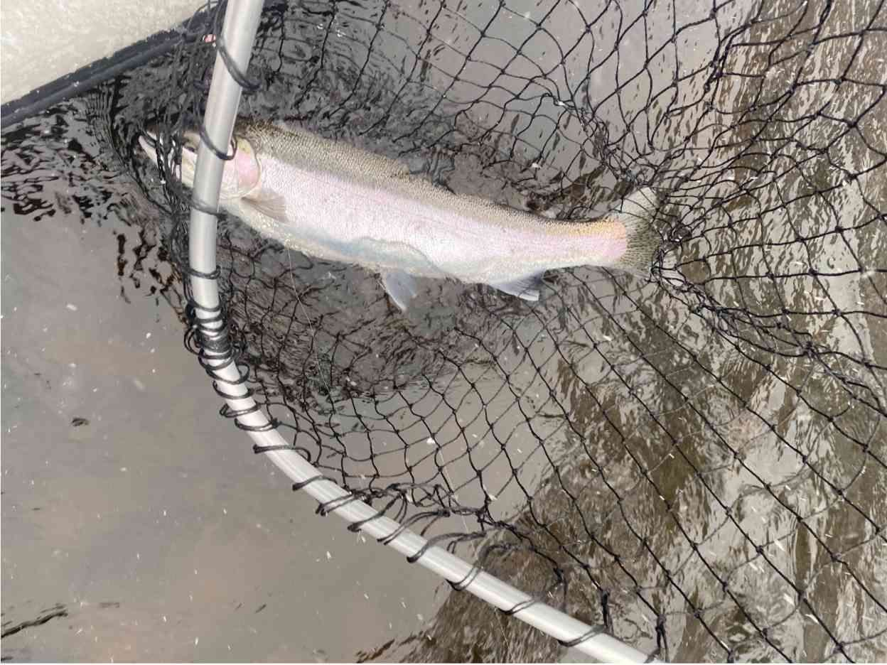 Upstate New York Steelhead Fishing With John Rogers