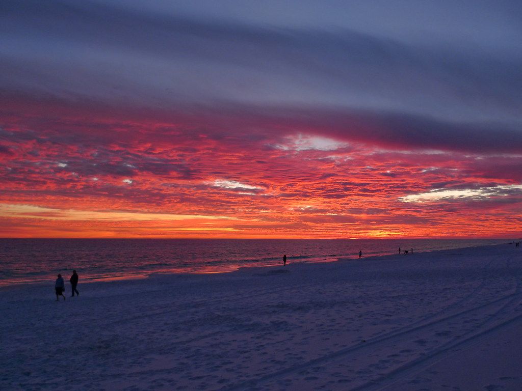 Book Your Fishing Charter in Destin, FL