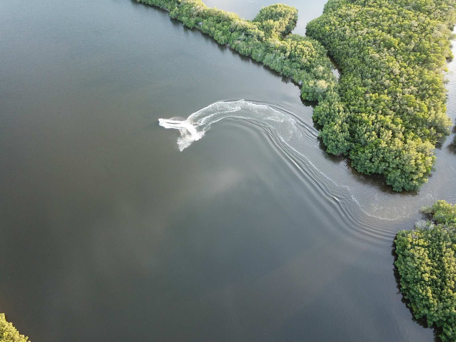 Tampa Bay Backcountry Fishing