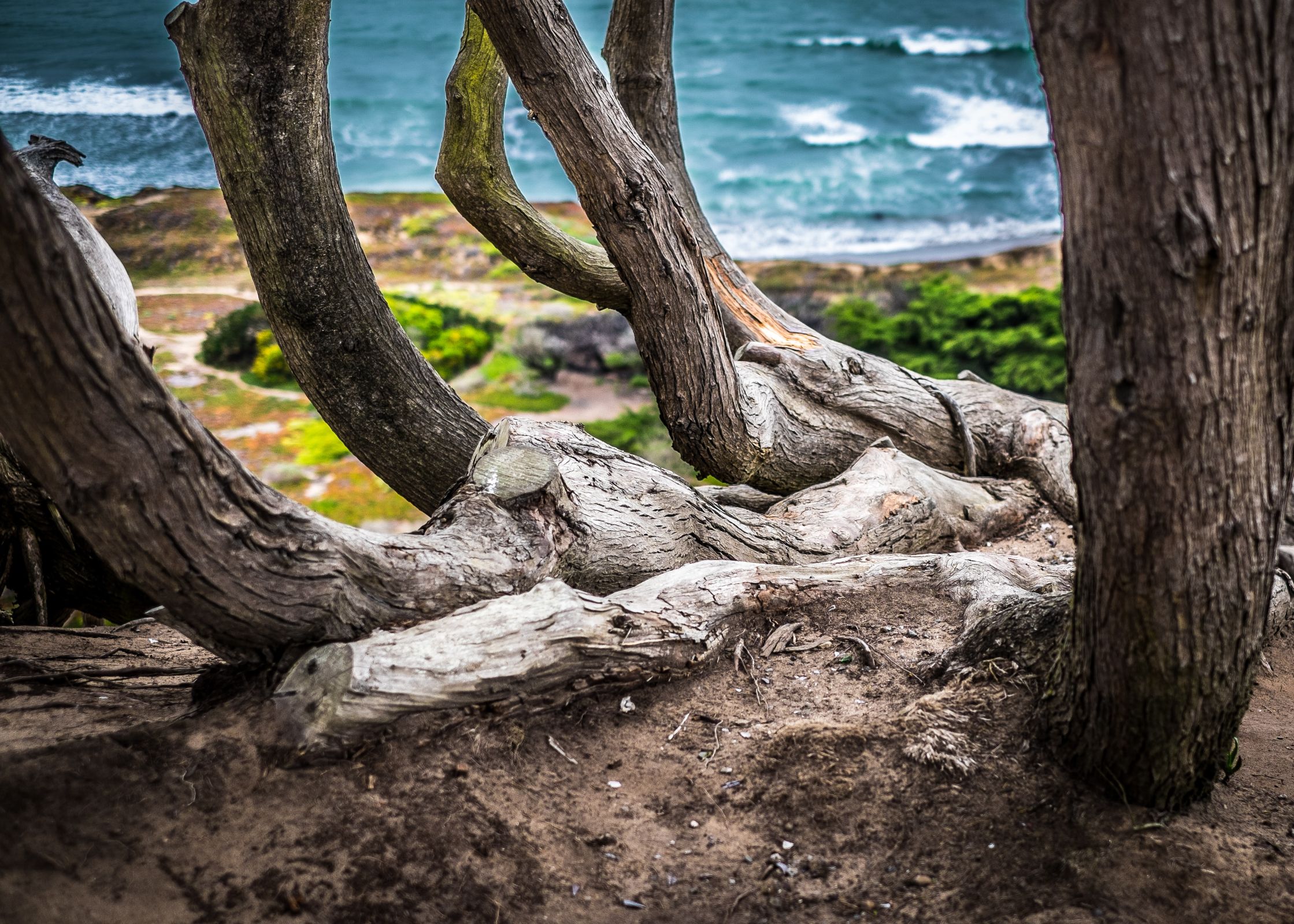 Daly City, CA Fishing: Where Anglers Should Stop and Stay a While