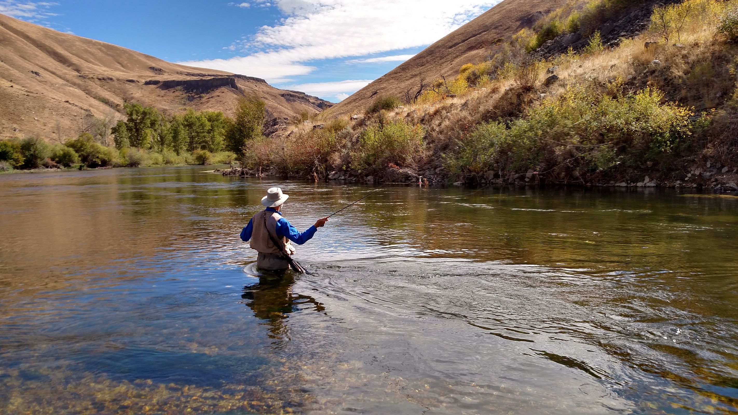 Top 7 Freshwater Game Fish Prized by Inshore Anglers