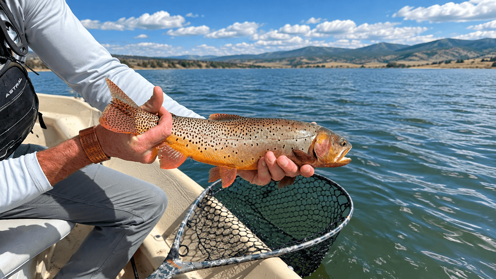 Fly Fishing vs. Spin Fishing for Trout: When to Use Each