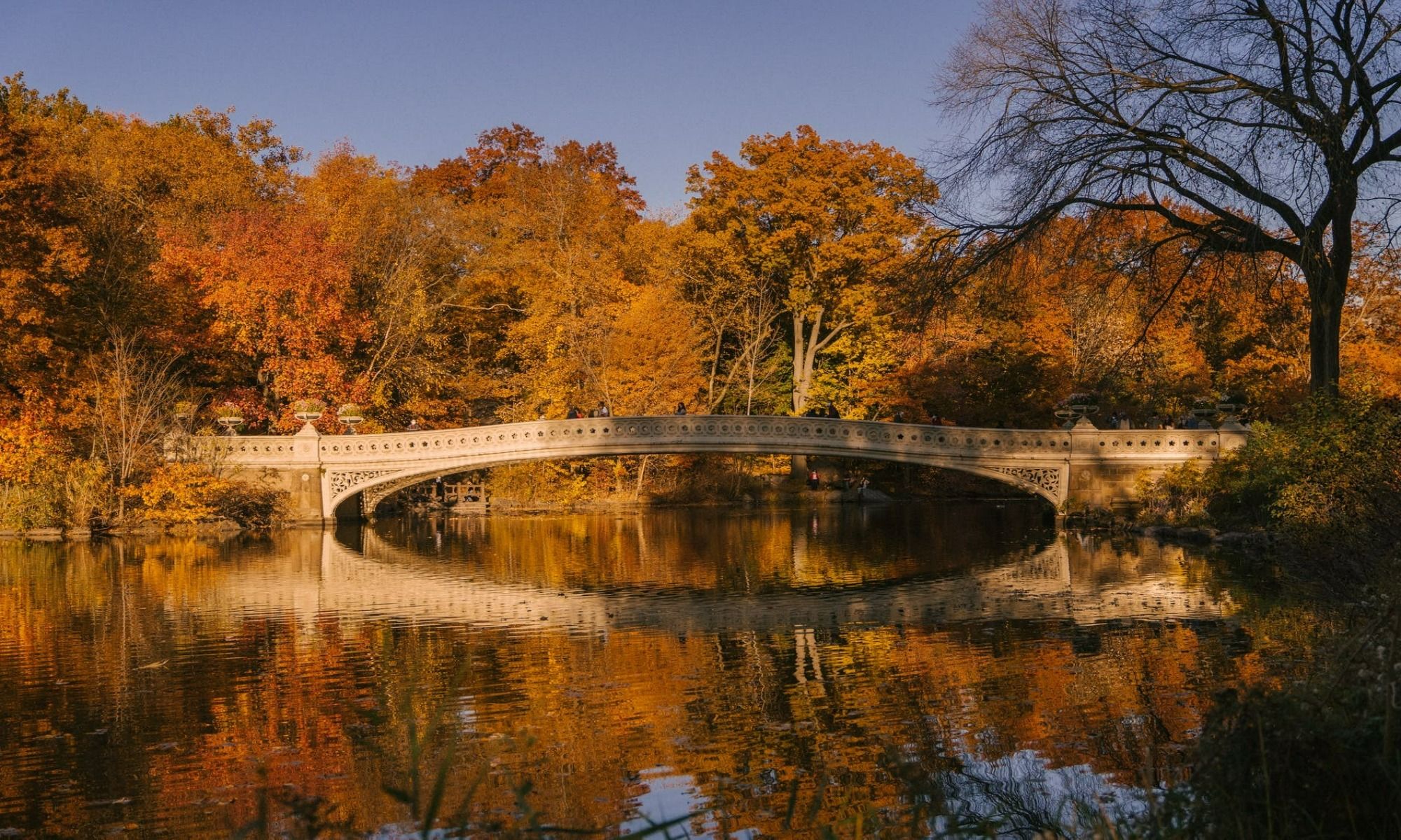 Ulster County, NY Fishing: Legendary Destination in the Catskills Region