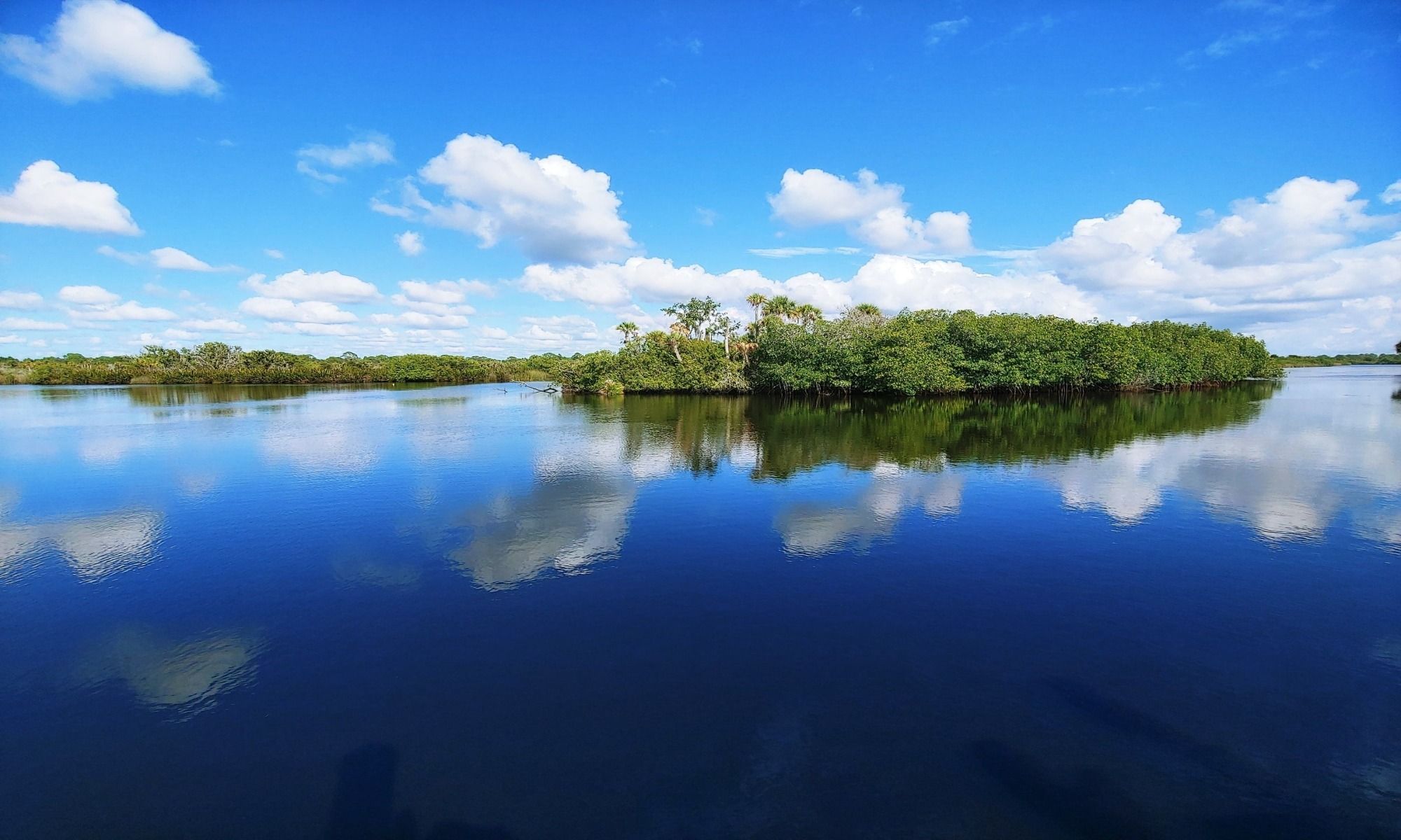 Welaka, FL Fishing: Top Bass Fishing in Northeast Florida