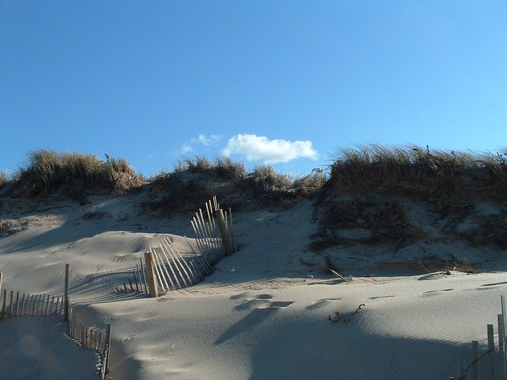 Book Your Fishing trip in Wellfleet, MA