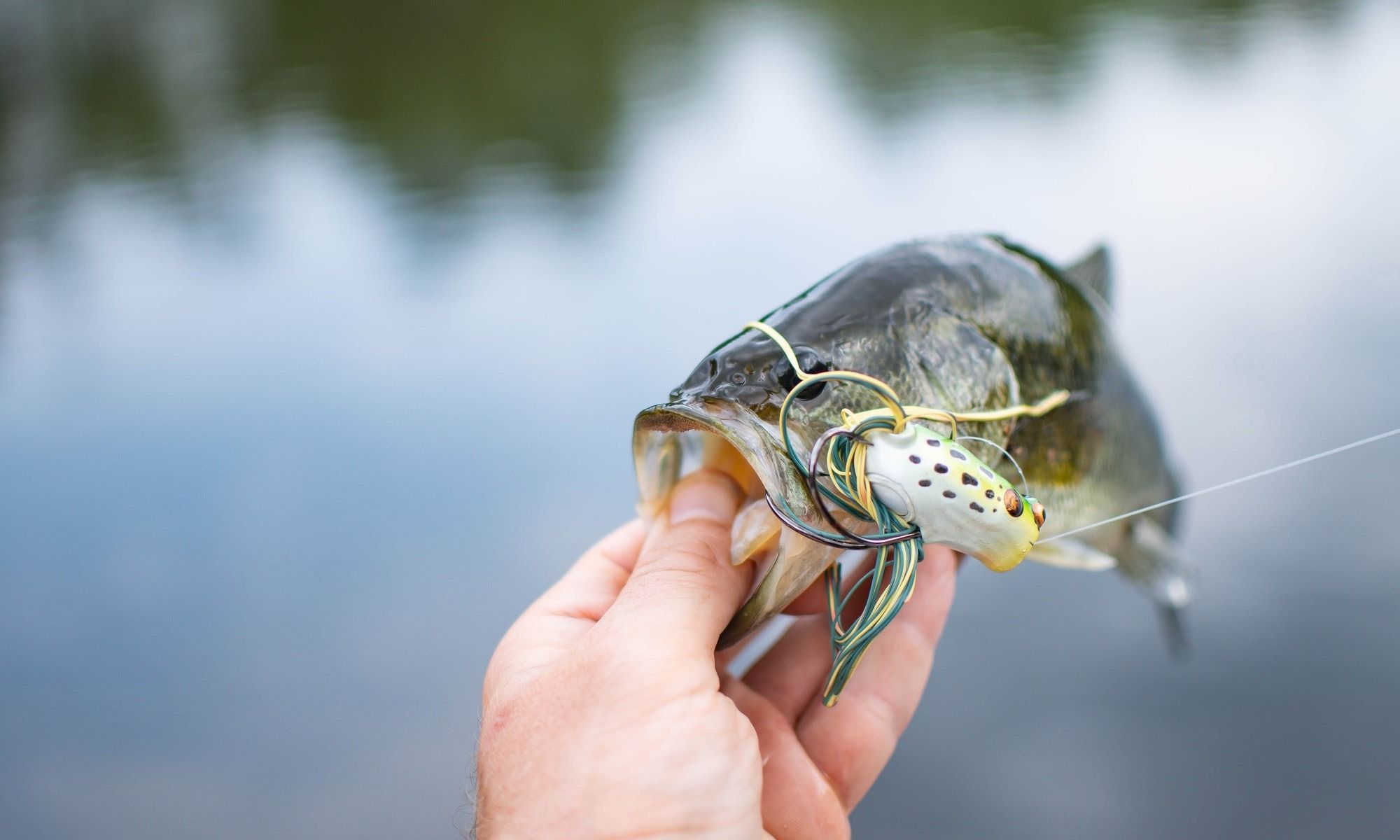 Target Smallmouth and Largemouth Bass in Winter