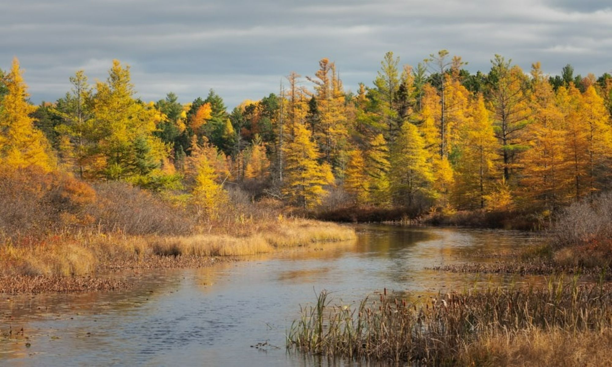 Trout Fishing: Why Wisconsin Should be on Your List