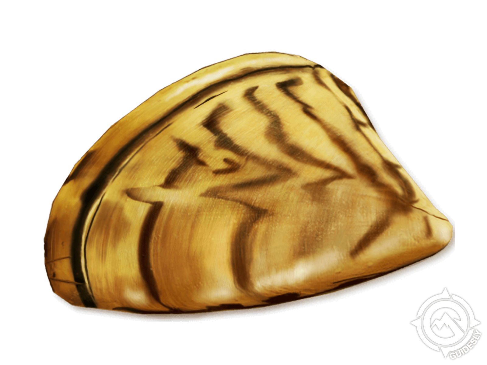 Zebra Mussel