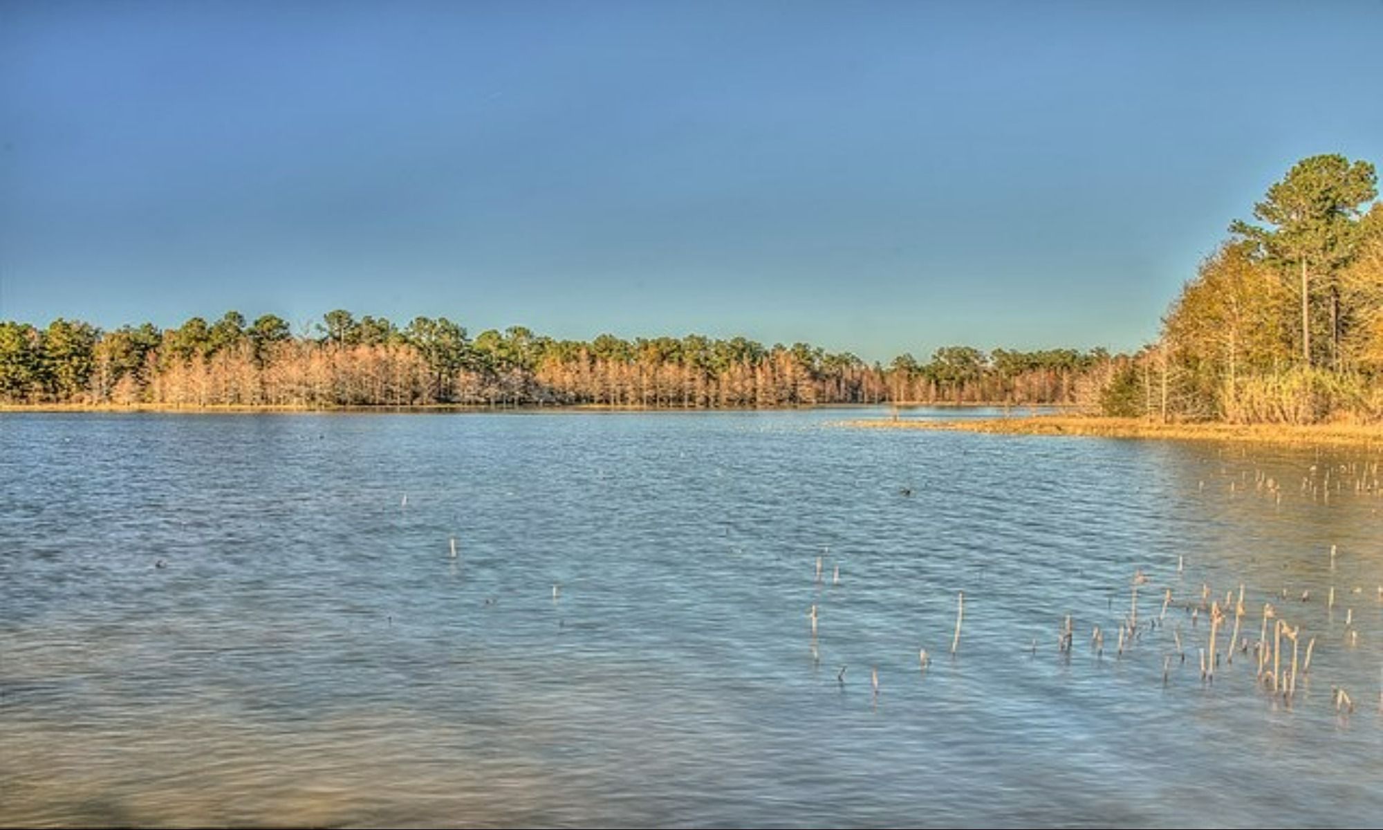 Book Your Fishing Charter in Abbeville, AL