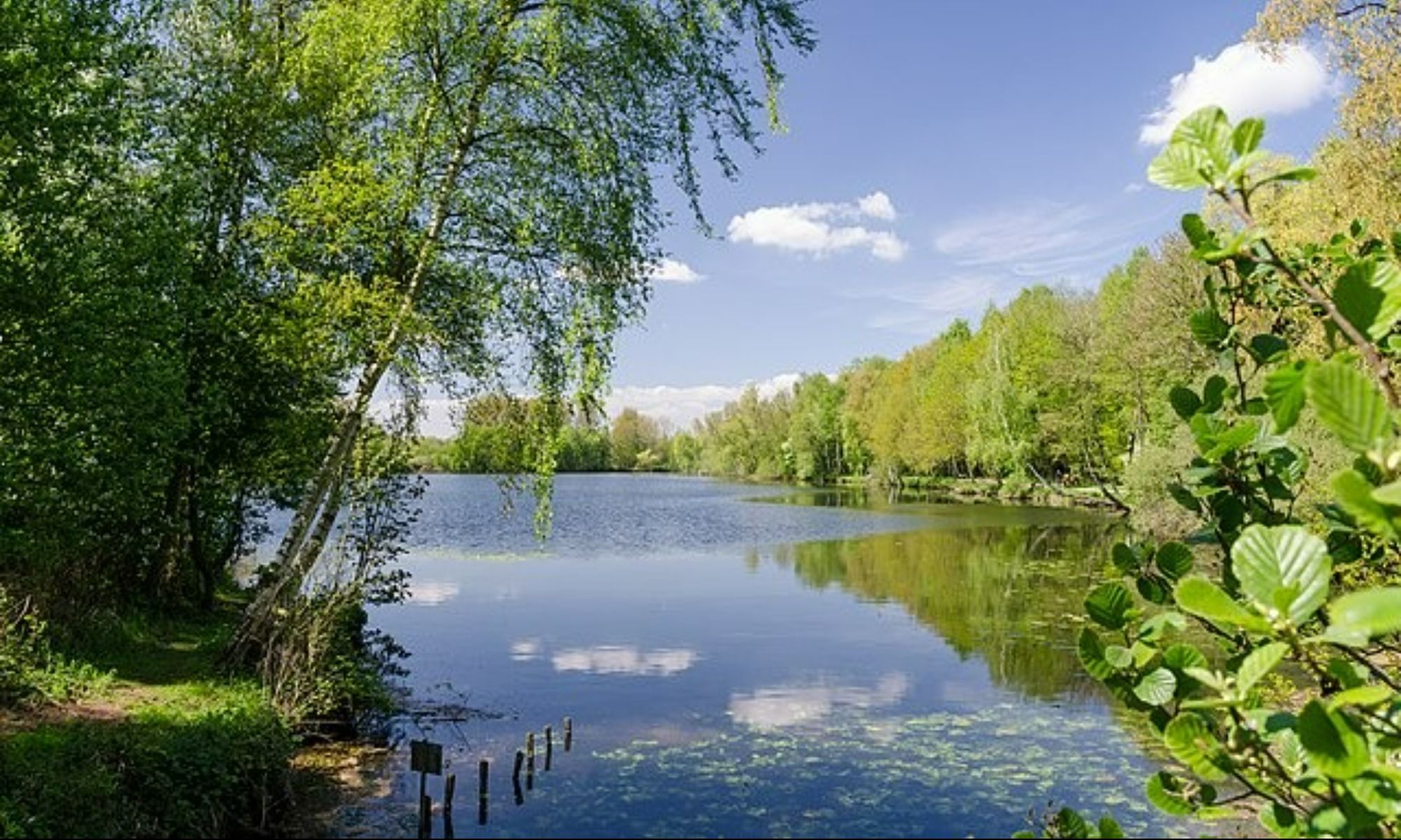 Book Your Fishing Charter in Abita Springs, LA