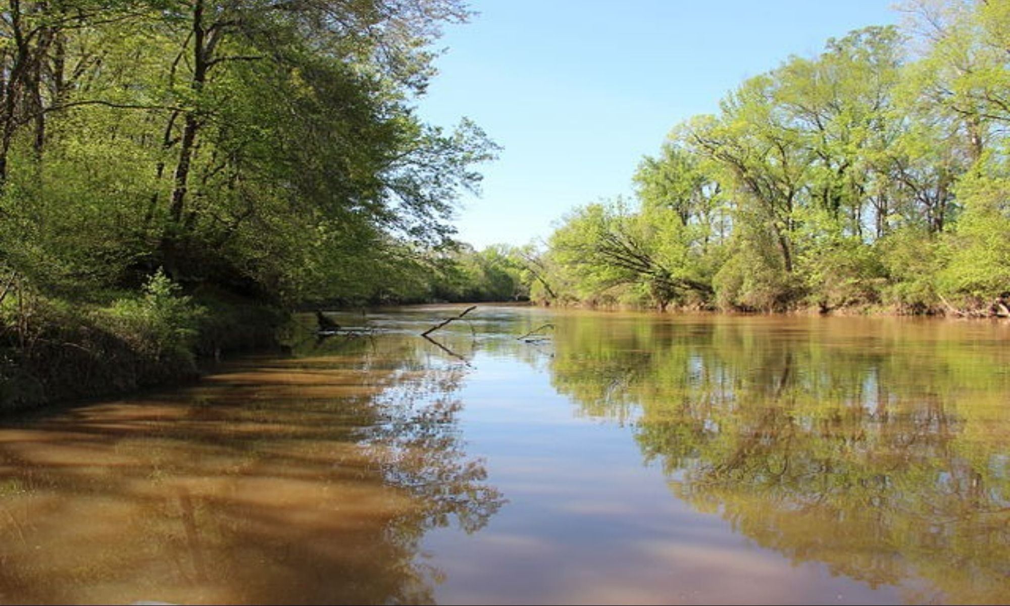 Acworth, GA Fishing: Southside Angling