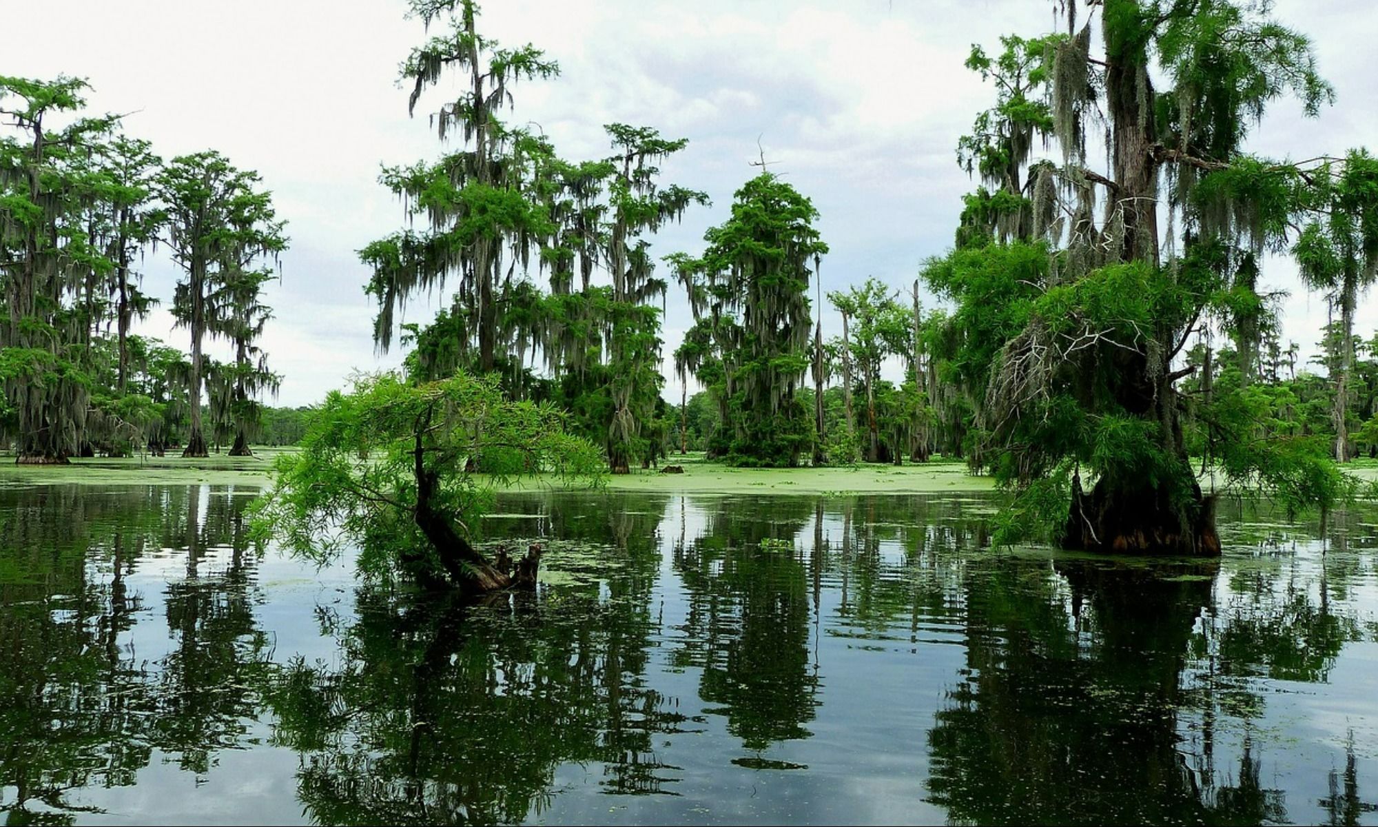 Addis, LA Fishing: A Small Railroad Town in the Pelican State