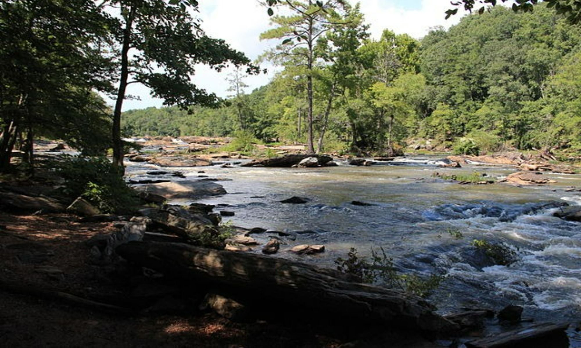Book Your Fishing Charter in Adrian, GA
